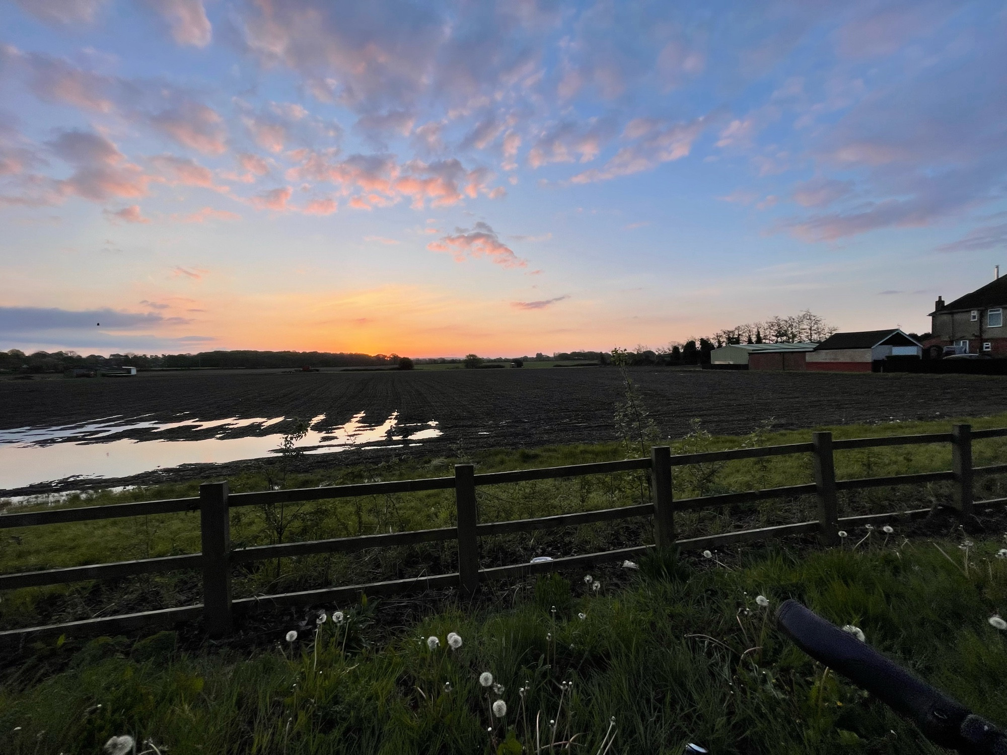 Sunrise over a partially flooded arable field. There are ducks in the field and the sky is mostly light blue with a little orange. There is a wooden fence in the foreground and a house