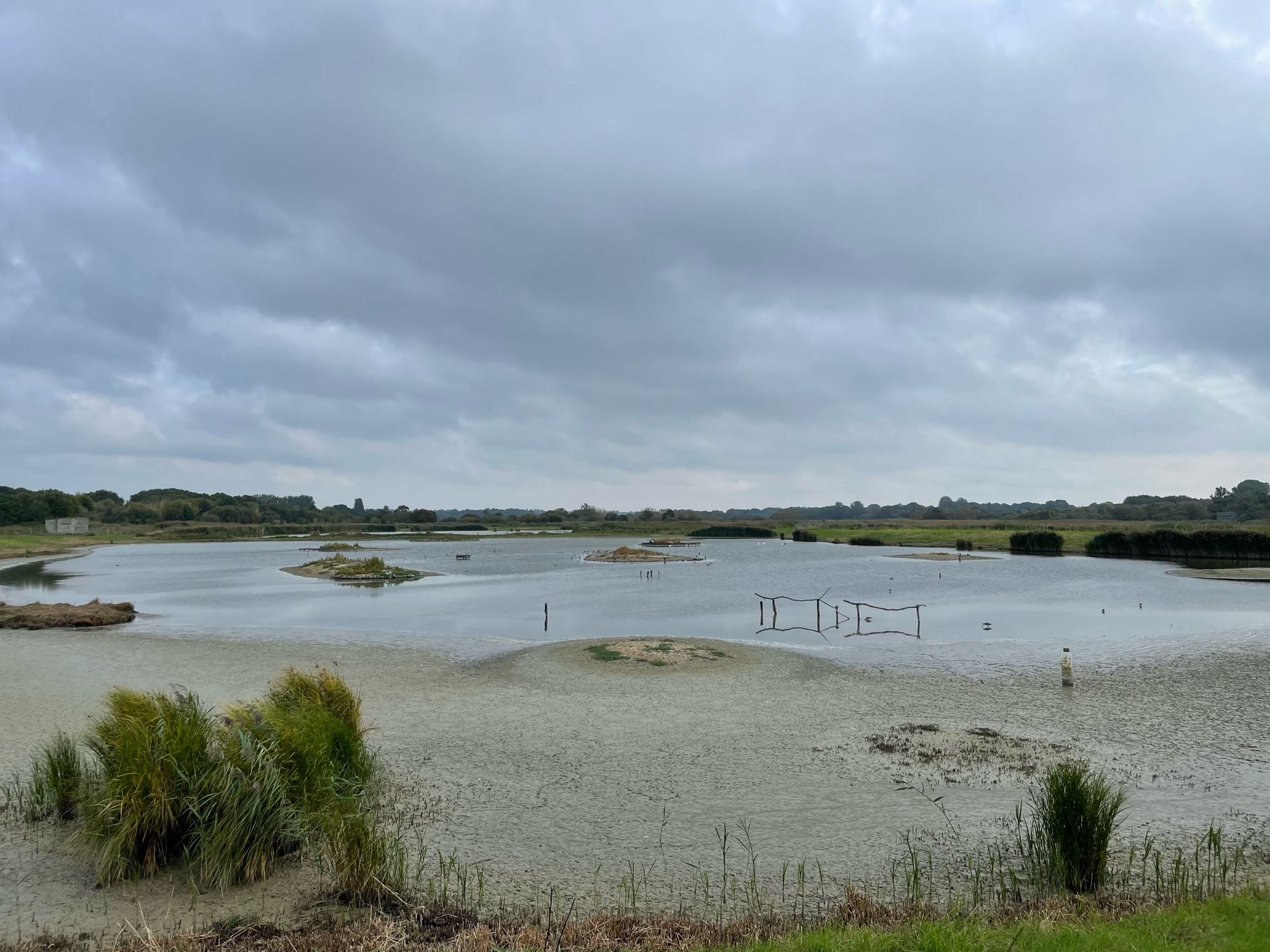 View of South Scrape from the Meonshore hide. There is lots of mud around the edges and it is overcast. Species present include 3 Glossy Ibis