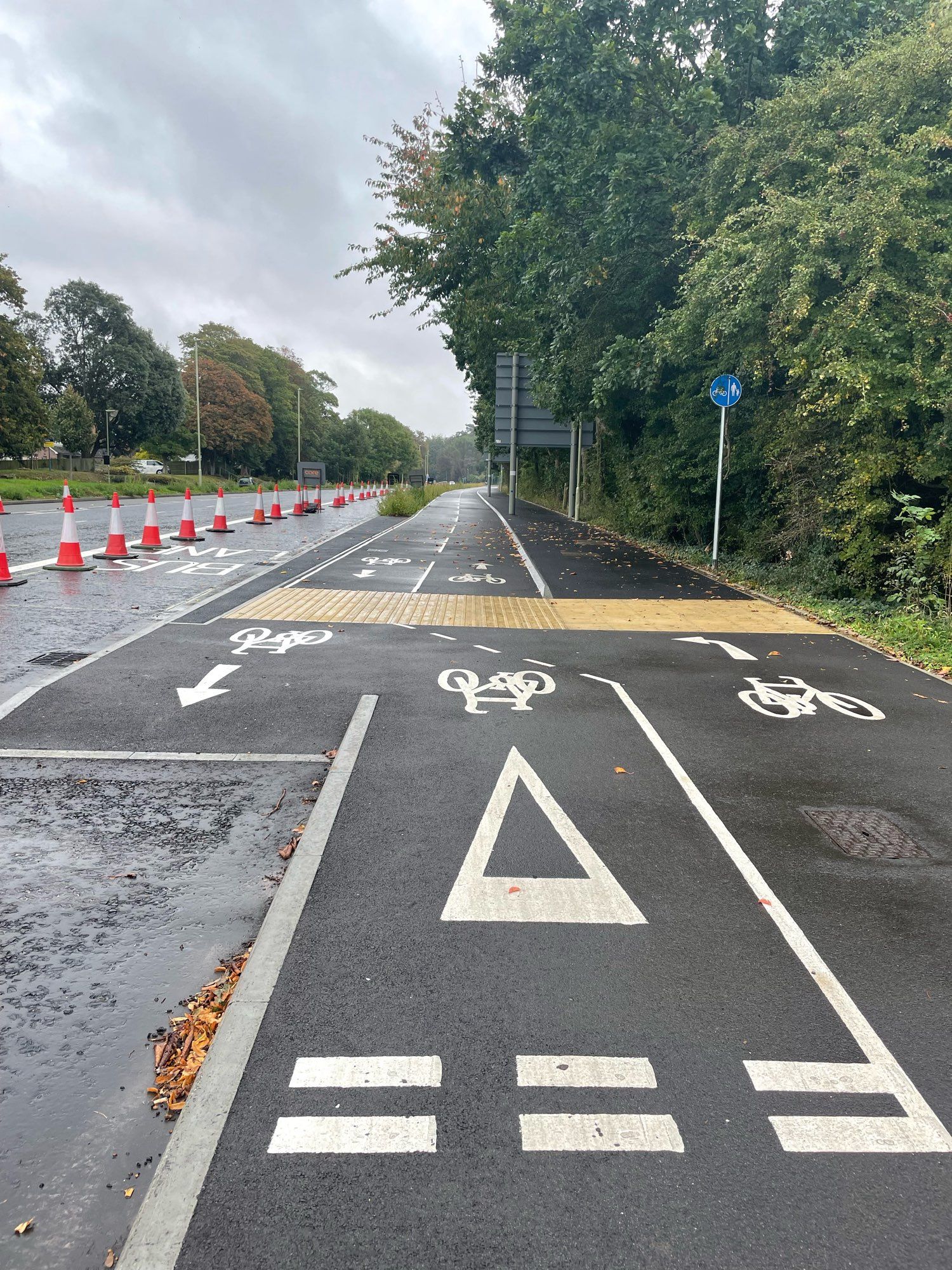 A new cycle lane that replaced a shared path. It is next to a bus lane which is unfinished and has orange and white cones blocking it. It is raining