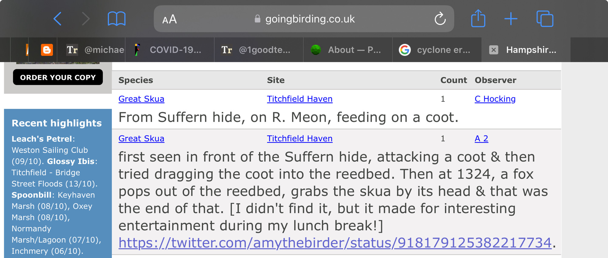 Screenshot from the Hampshire GoingBirding site. It is about a Great Skua on the river at Titchfield Haven. It says "first seen in front of the Suffern hide, attacking a coot & then tried dragging the coot into the reedbed. Then at 1324, a fox pops out of the reedbed, grabs the skua by its head & that was the end of that. I didn't find it, but it made for interesting entertainment during my lunch break!"