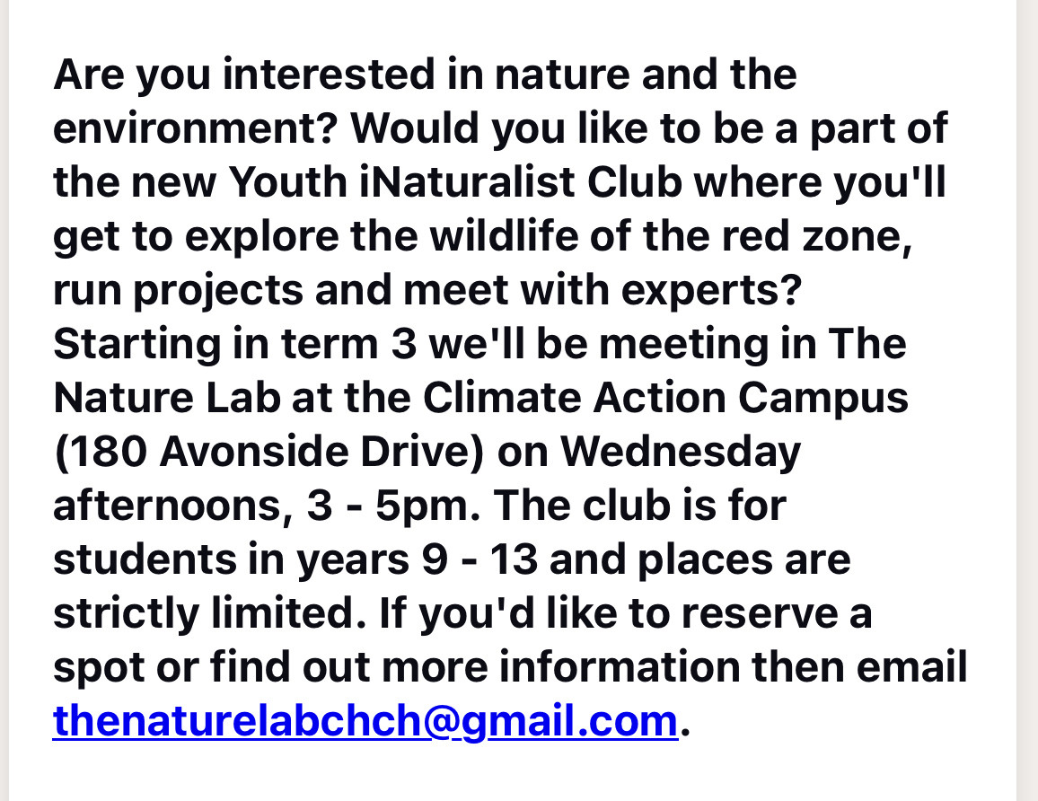 Are you interested in nature and the environment? Would you like to be a part of the new Youth iNaturalist Club where you'll get to explore the wildlife of the red zone, run projects and meet with experts?
Starting in term 3 we'll be meeting in The Nature Lab at the Climate Action Campus
(180 Avonside Drive) on Wednesday afternoons, 3 - 5pm. The club is for students in years 9 - 13 and places are strictly limited. If you'd like to reserve a spot or find out more information then email thenaturelabchch@gmail.com.