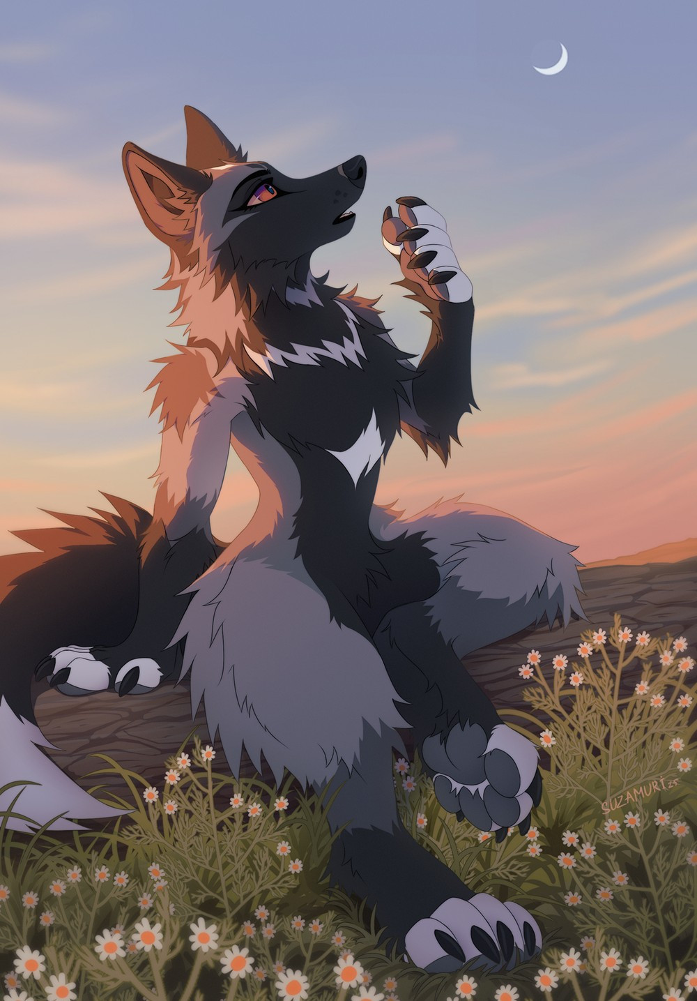 full quality image