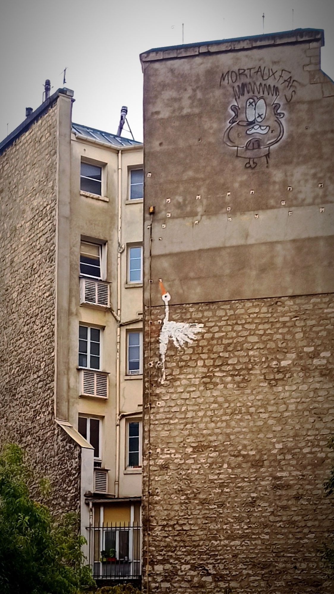 La photo est occupée principalement par deux murs hauts formés de pierres. Deux graffitis ont été dessinés sur le mur de droite : un oiseau blanc au bec orange en vol est représenté verticalement et un tête caricaturée en haut du mur avec l'inscription 'mort aux fafs'. Entre les deux murs on distingue un immeuble de quatre étages formant un angle rentrant une gouttière ou conduit d'évacuation longeant l'angle. Tout en bas une fenêtre entre les deux mur avec une grillé et une jardinière. Le haut d'un arbre se devine au premier plan à gauche.