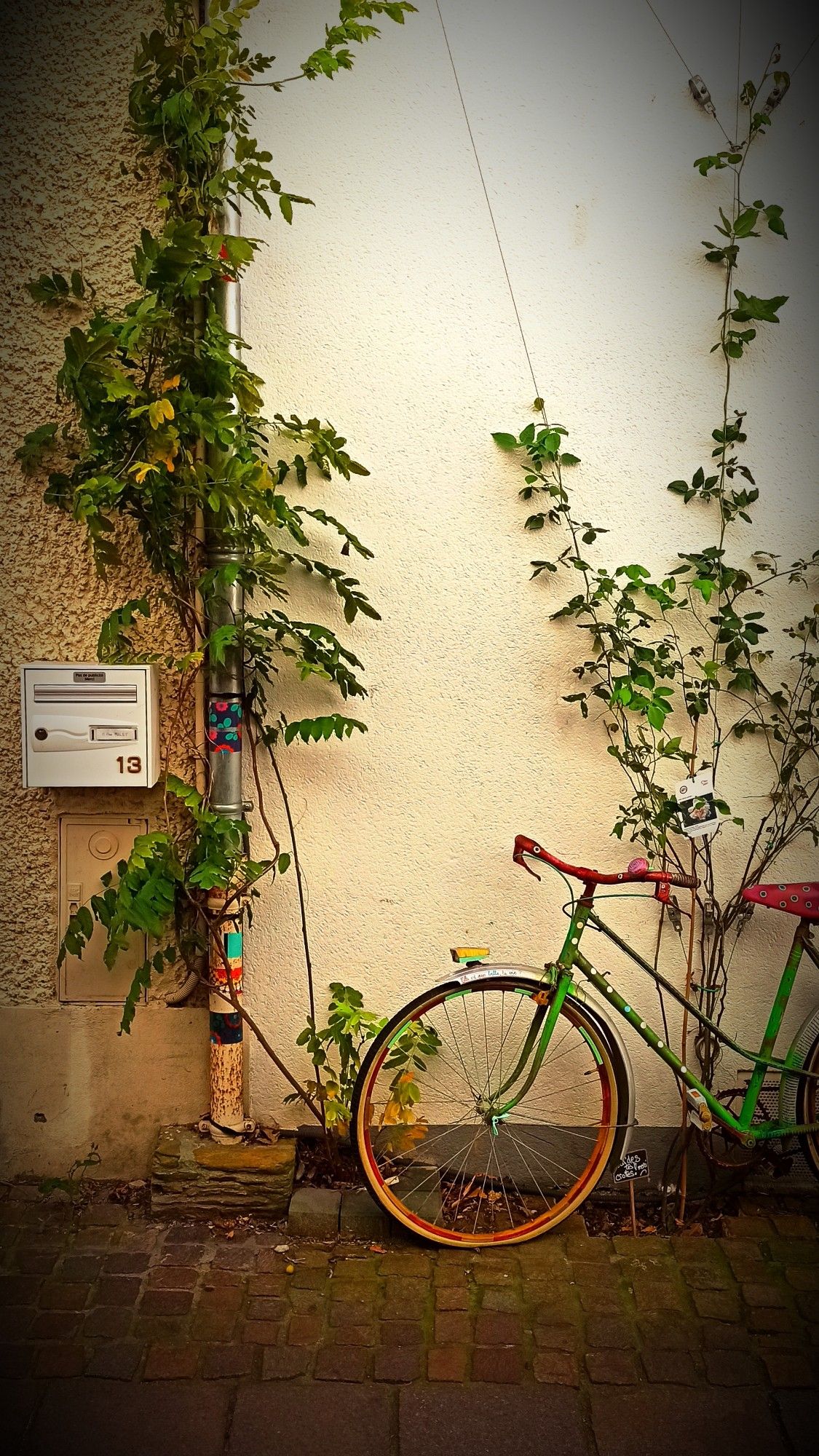 Vélo, appuyé contre un mur, se trouve entouré de végétation. Ce vélo, vert et rouge avec des détails peints à la main, a un style unique. Son cadre vert est décoré de pois blancs et son guidon rouge présente des motifs géométriques. Les roues sont également peintes avec une alternance de couleurs vives, notamment le vert, l’orange et le jaune. Devant ce vélo, un tuyau de descente d’eau décoré avec des motifs multicolores et entouré de lierre renforce l’aspect artistique de la scène. Sur al gauche encore, une boîte aux lettres porte le n°13. Le vélo semble également posséder une petite étiquette ou note attachée à l’avant, accentuant son caractère personnalisé et artisanal.