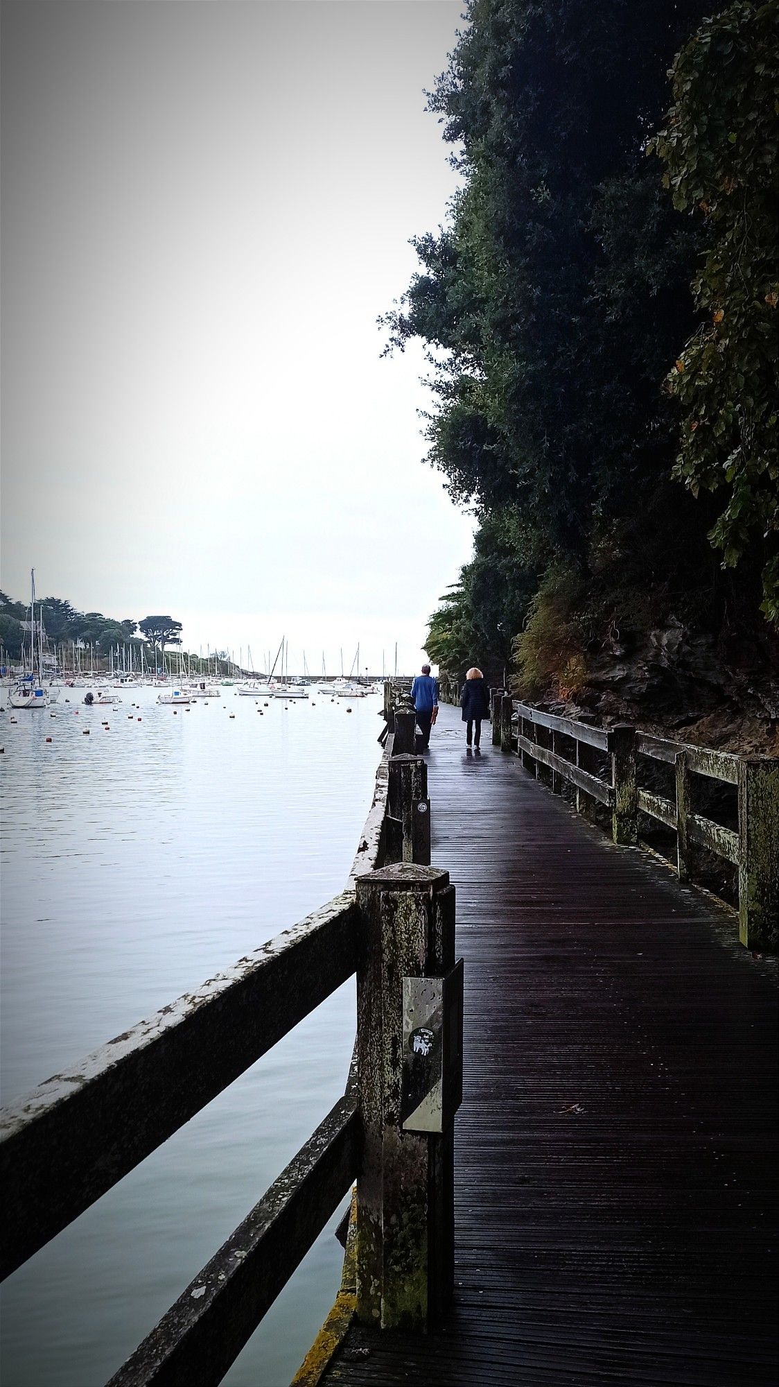 Cette image montre une promenade en bois longeant une étendue d’eau calme, probablement un bras de mer ou un port. La scène est paisible, avec deux personnes marchant au loin sur le sentier en bois, bordé d'une végétation dense à droite et de l'eau à gauche. Le chemin en bois, légèrement humide, reflète une atmosphère de calme après la pluie. En arrière-plan, on aperçoit plusieurs voiliers ancrés dans l’eau. Le ciel est nuageux, ajoutant à l'ambiance tranquille et contemplative de l’endroit, situé près de l'entrée du port de Pornic.