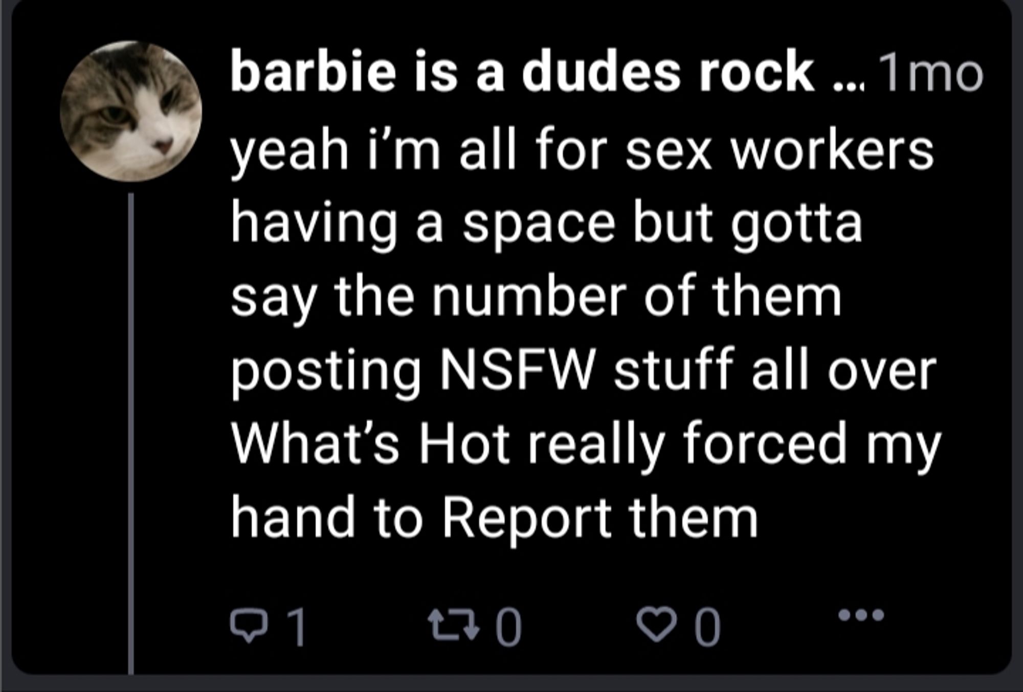 yeah i’m all for sex workers having a space but gotta say the number of them posting NSFW stuff all over What’s Hot really forced my hand to Report them