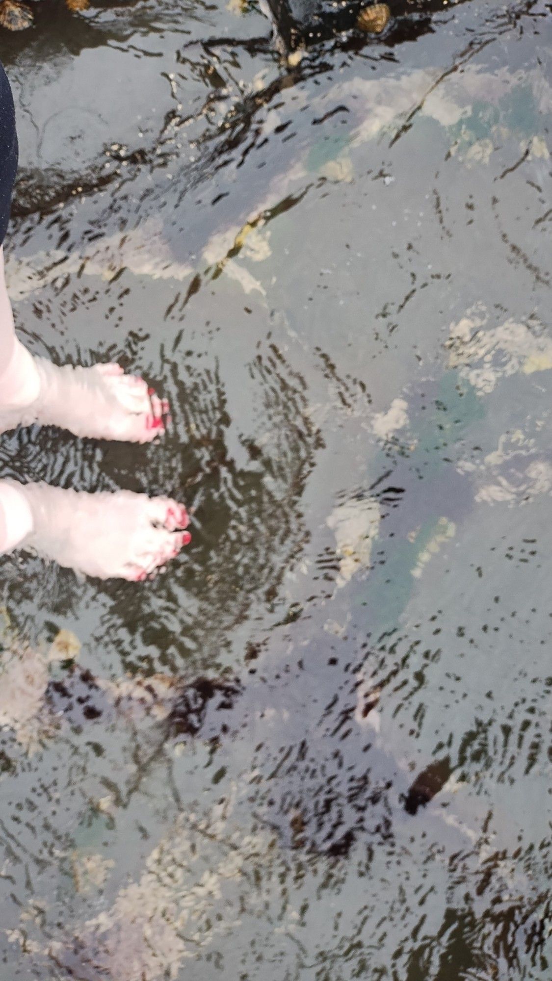 two pale feet in clear cold water. the ground is dark brown rocks.