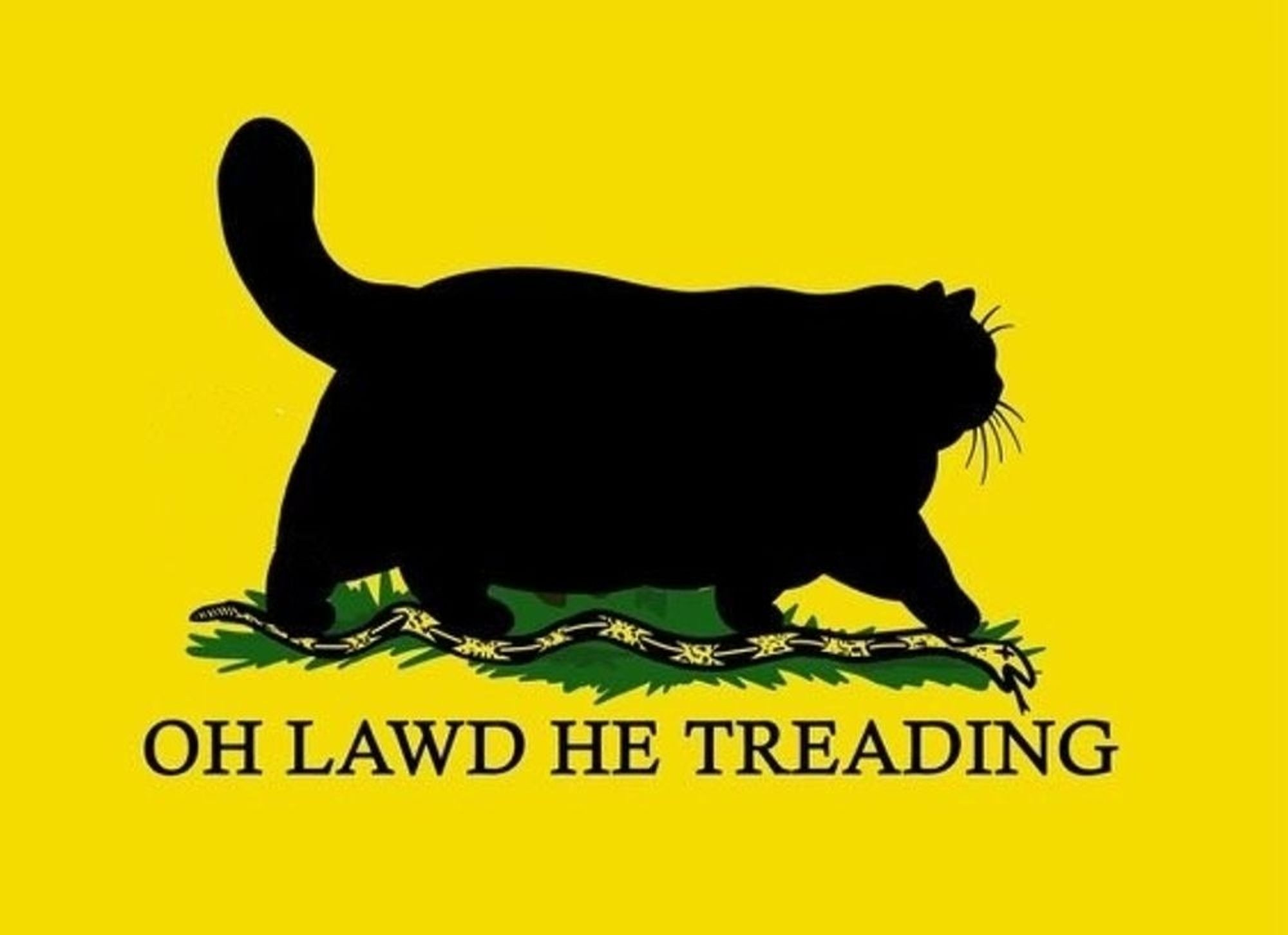 a black cat absolutely stomping the fuck out of the snake on the Gadsden flag.
text reads "oh lawd he treading"