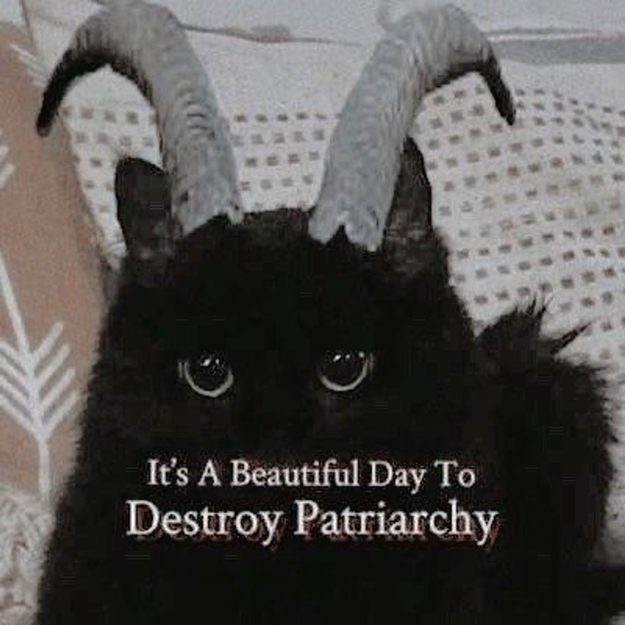 an adorable fluffy black cat with huge green eyes wearing felt demon/goat horns. 
text reads "it's a beautiful day to Destroy Patriarchy"