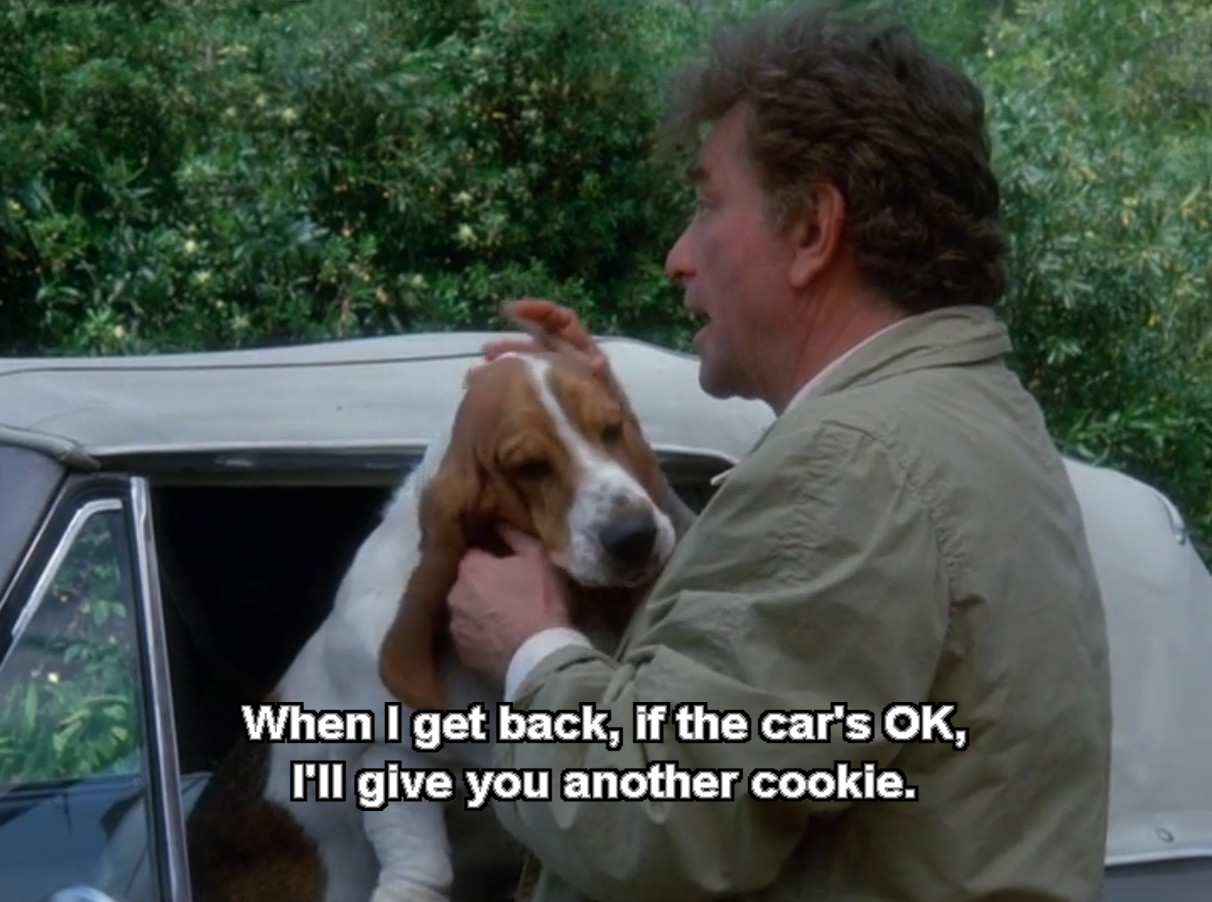 "When I get back, if the car's OK, I'll give you another cookie."