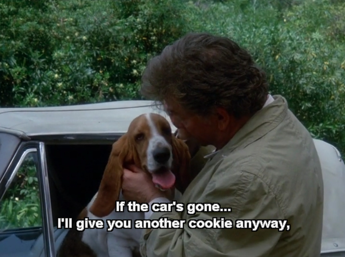 "If the car's gone... I'll give you another cookie anyway..."