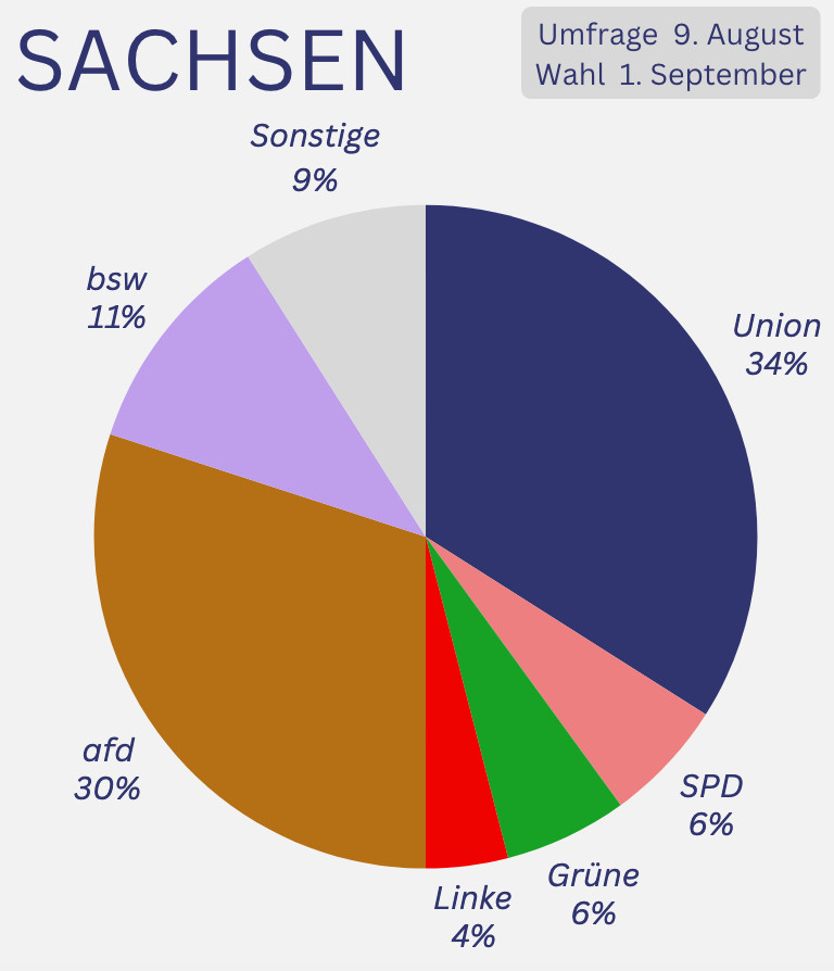 Sachsen 
Wahl 1.9.24
Umfrage 9.8.24

Kreisdiagramm
CDU 34
SPD 6
Grüne 6
FDP -
Linke 4
AfD 30
BSW 11
Sonstige 8