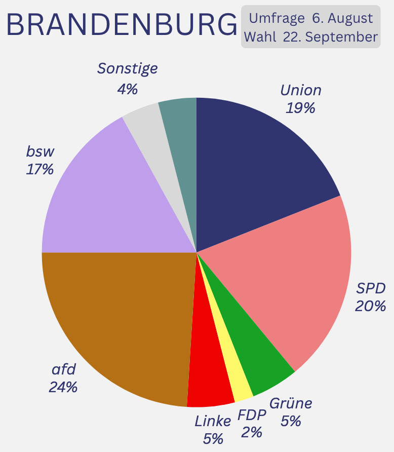 Brandenburg
Wahl 22.9.24
Umfrage 6.8.24

Kreisdiagramm
Union 19
SPD 20
Grüne 5
FDP 2
Linke 5
AfD 24
BSW 17
BVB/FW 4
Sonstige 4