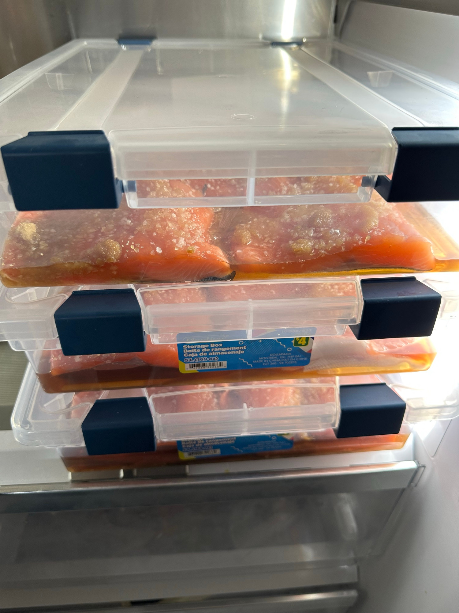 Salmon in covered containers in the fridge with their brine coats starting to work. 
