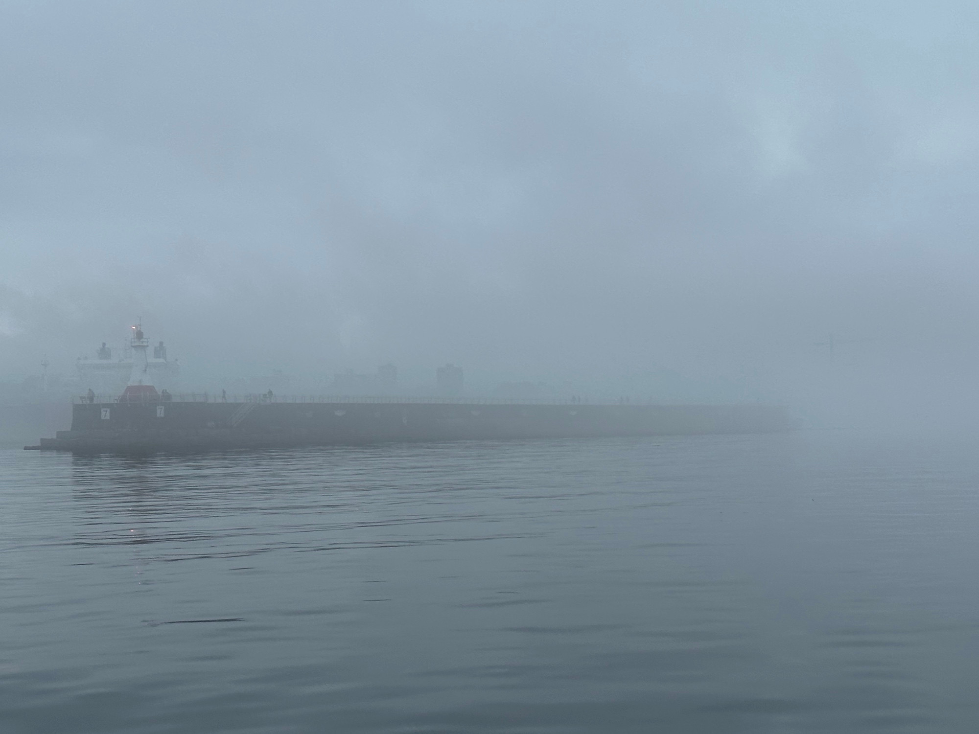 Foggy morning off the Ogden Point breakwater.