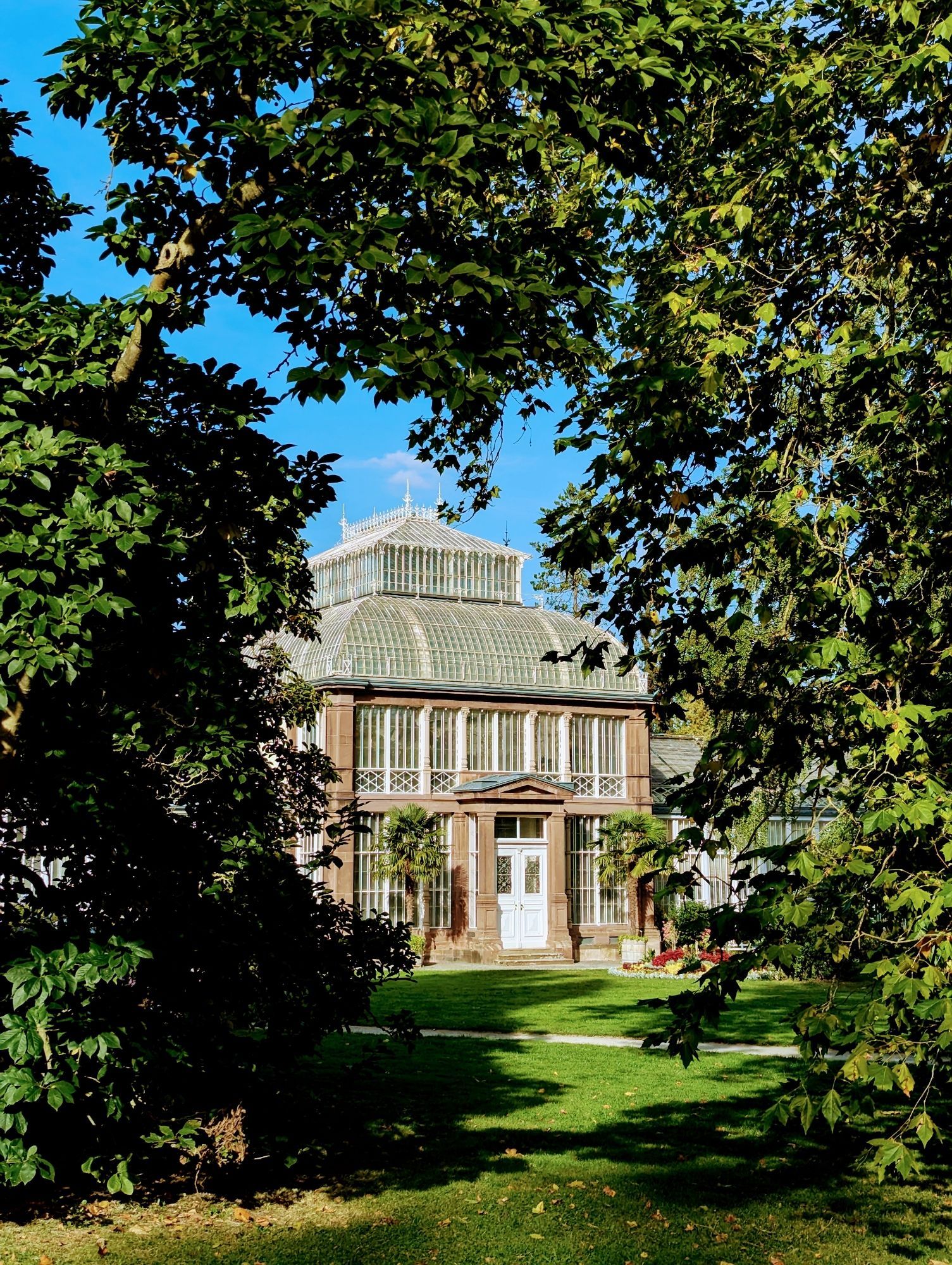 A photo of a 1823 greenhouse, framed by the greenery of trees in the foreground.