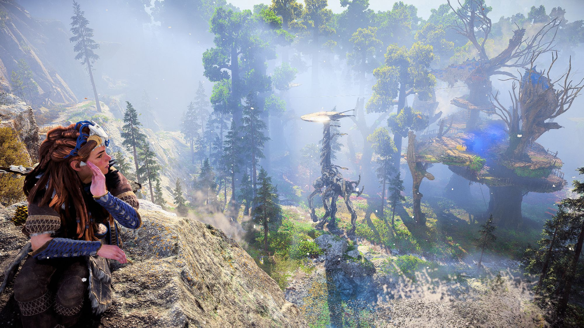 A virtual photo of Aloy from Horizon Forbidden West on PC as she looks down from a rocky platform on the Tallneck at the Stand of the Sentinels. Our Nora huntress sits on a rock, looking to her left on the mist enshrouded abandoned settlement, and on the statuesque Tallneck striding below, its disc-like head gleaming in the sun. Clamberjaws (ugh) can be seen on the wooden platforms of the now unused Tenakth settlement.