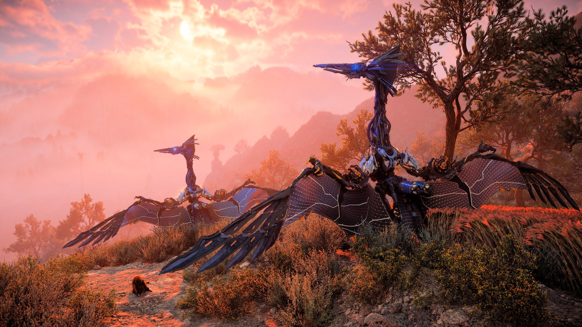 A virtual photo of a pair of sunwings basking in the late afternoon sun from Horizon Forbidden West on PC. These two fliers are seen atop a hillside, with their backs to us as they stand with wings spread wide, soaking up the last rays and charging themselves for the night ahead. Both sunwings are facing the left of the frame allowing us a great view of their sharp beaks and majestic crowns. Below and between them on the ground is a resting peccary also grabbing the final warmth of the day as he lays comfortably in the dusty path. The sun is in the upper center of the shot, slightly obscured by a patch of clouds. Faintly through a haze of clouds we can see remnants of the old world standing out from the hills.