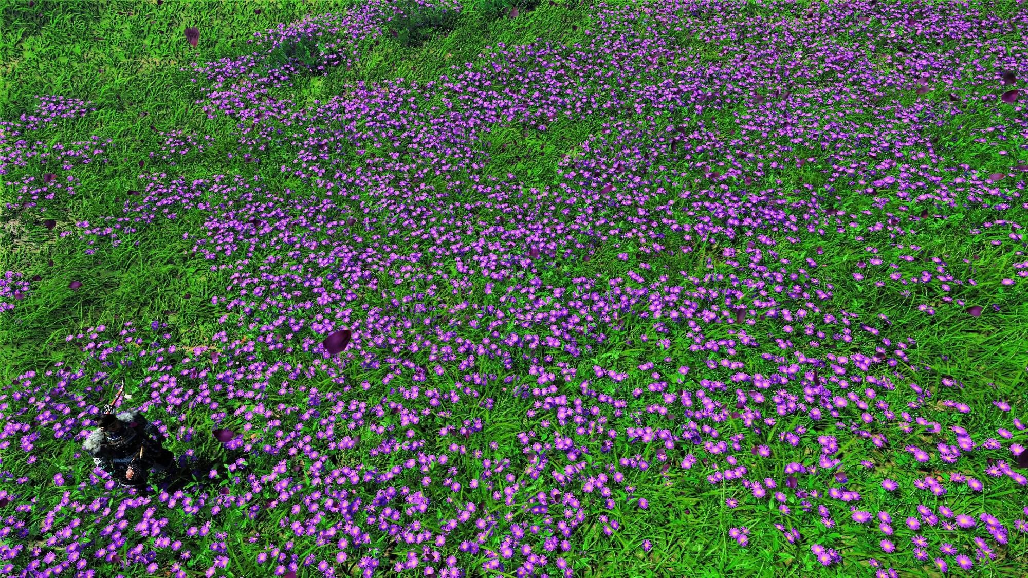 An overhead shot of Lord Sakai standing in a field of purple flowers. He is at the bottom left of the shot, and the blossoms cover the field in front of him. A few purple petals are also shown scattered by the unceasing wind. Jin thinks the flowers may lead to some legendary armour, but we know better - he's found the secret home of Scudman, Lord of the Purple Passion Clan.