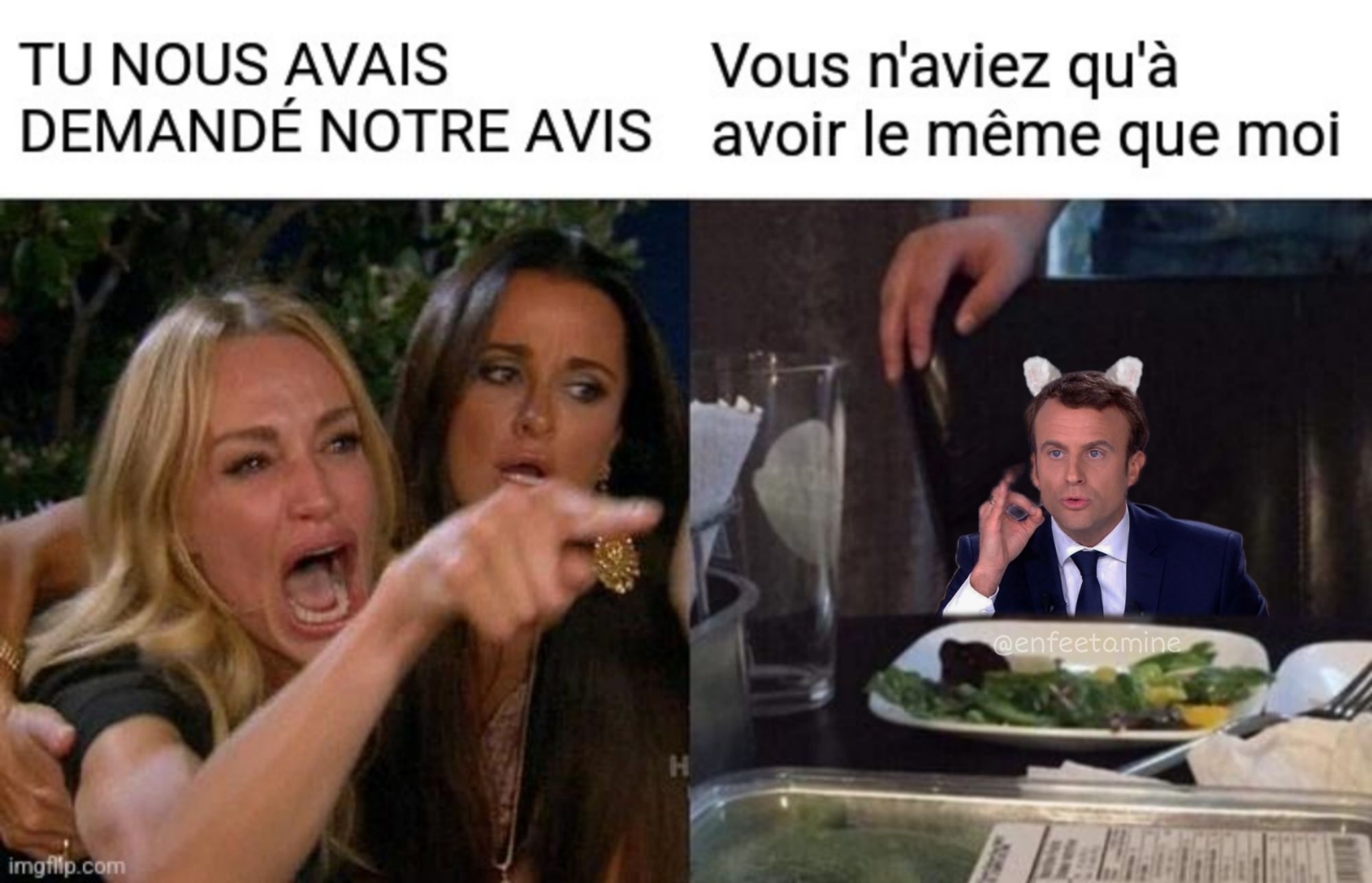 Meme des femmes en colère qui crient sur un chat 
Femme en larme : TU NOUS AVAIS DEMANDÉ NOTRE AVIS 
Chat remplacé par Macron avec des oreilles de chat, dans une posture très professorale : vous n'aviez qu'à avoir le même que moi