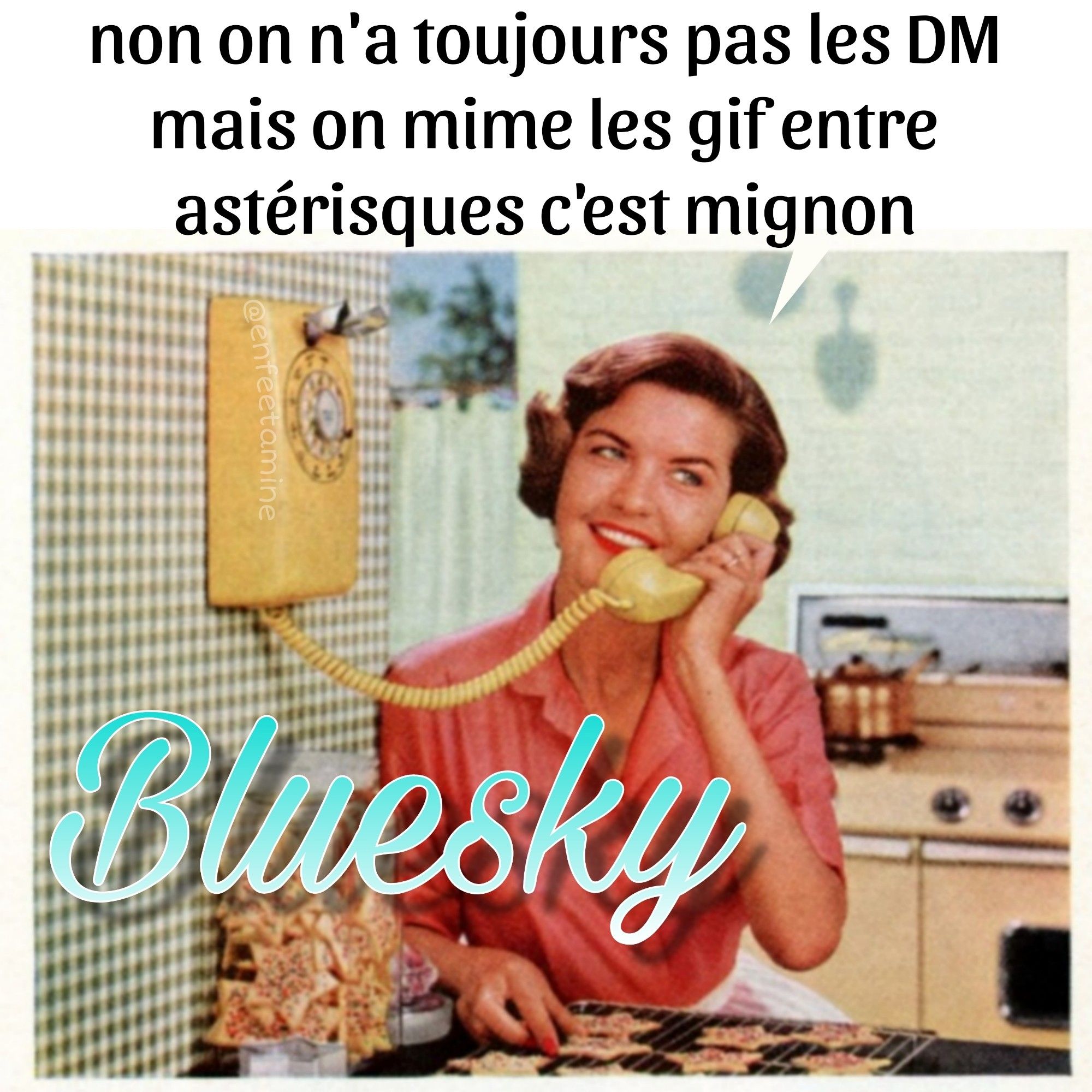 Affiche vintage Bluesky
Une femme téléphone sur un combiné mural et dit "non on n'a toujours pas les DM mais on mime les gig entre astérisques c'est mignon"