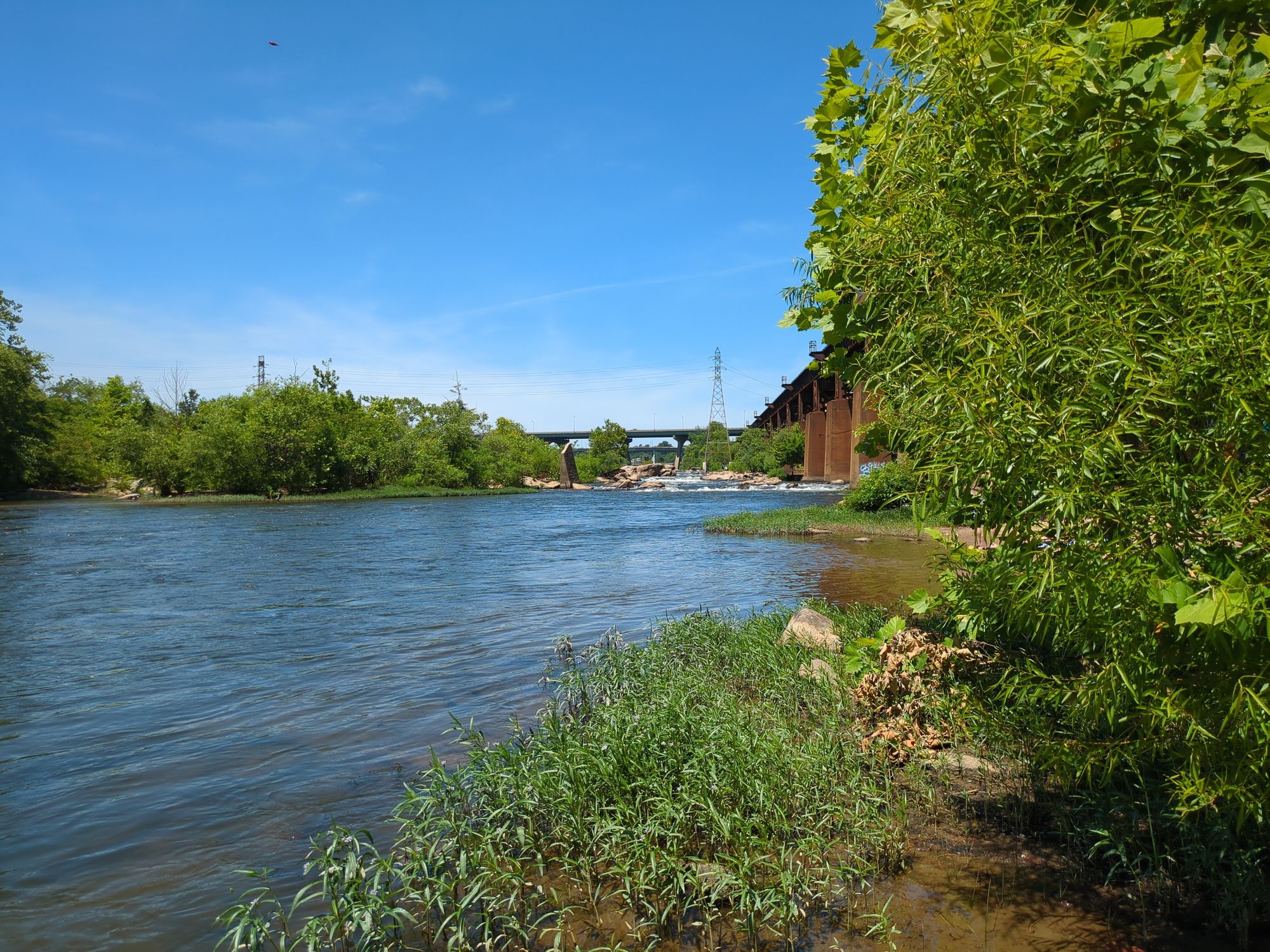 A river with vegetation on the side. In the background are some rapids and a bridge. 