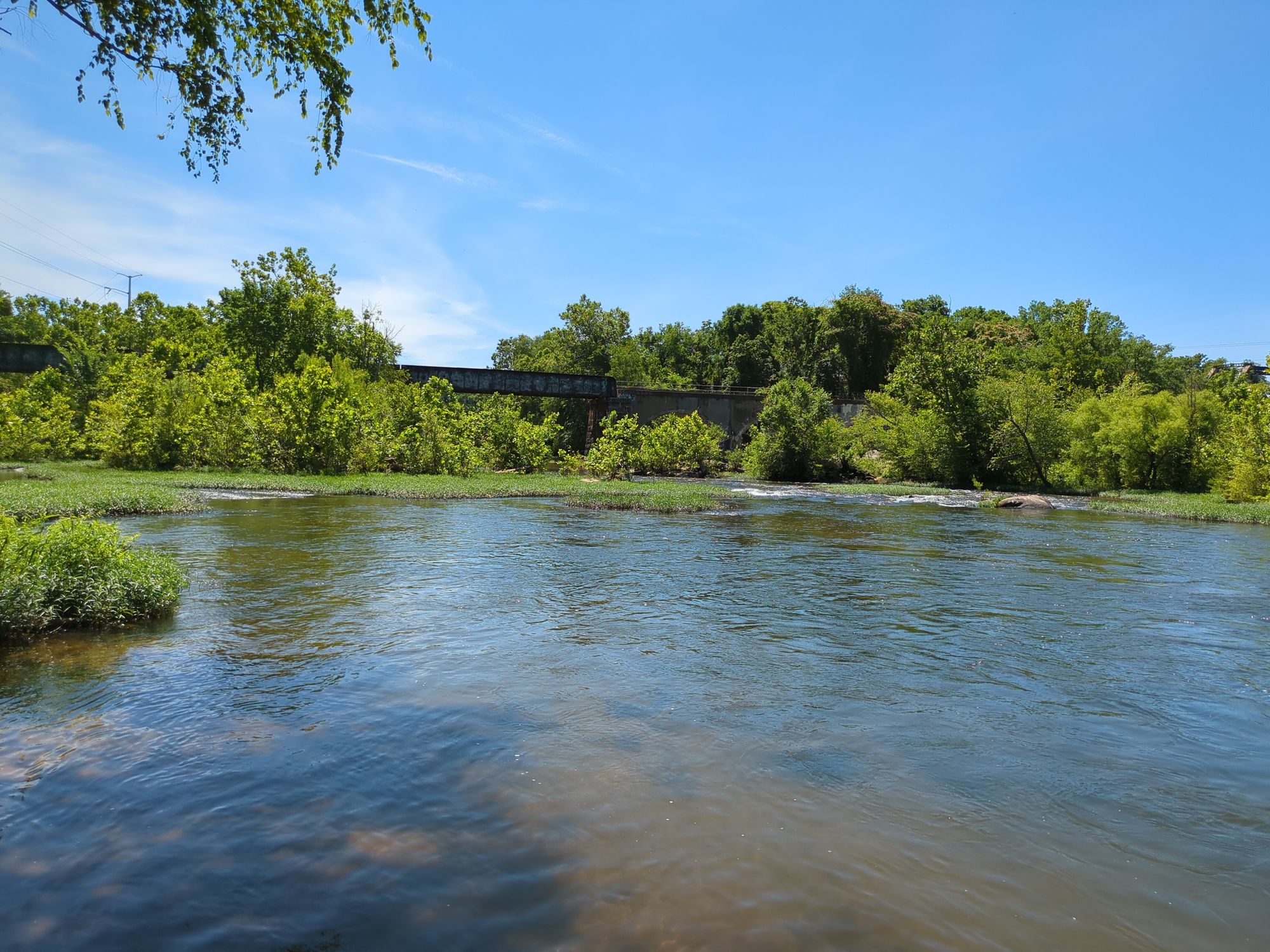 A clam river surrounded with vegetation. There is a small rail bridge in the background. 