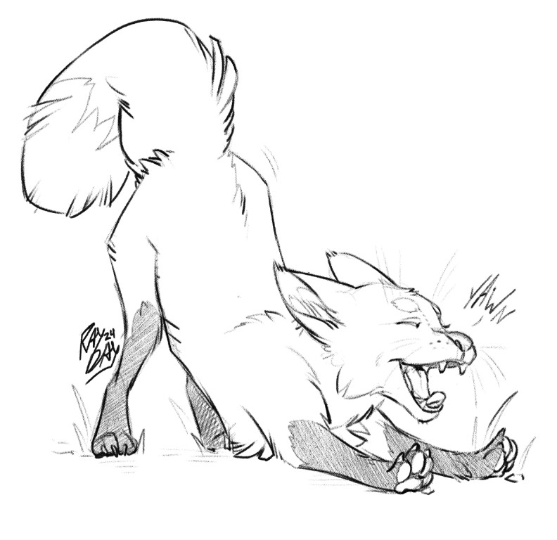 A sketch of a cute fox with dark sockies doin a biiiiiiig stretch