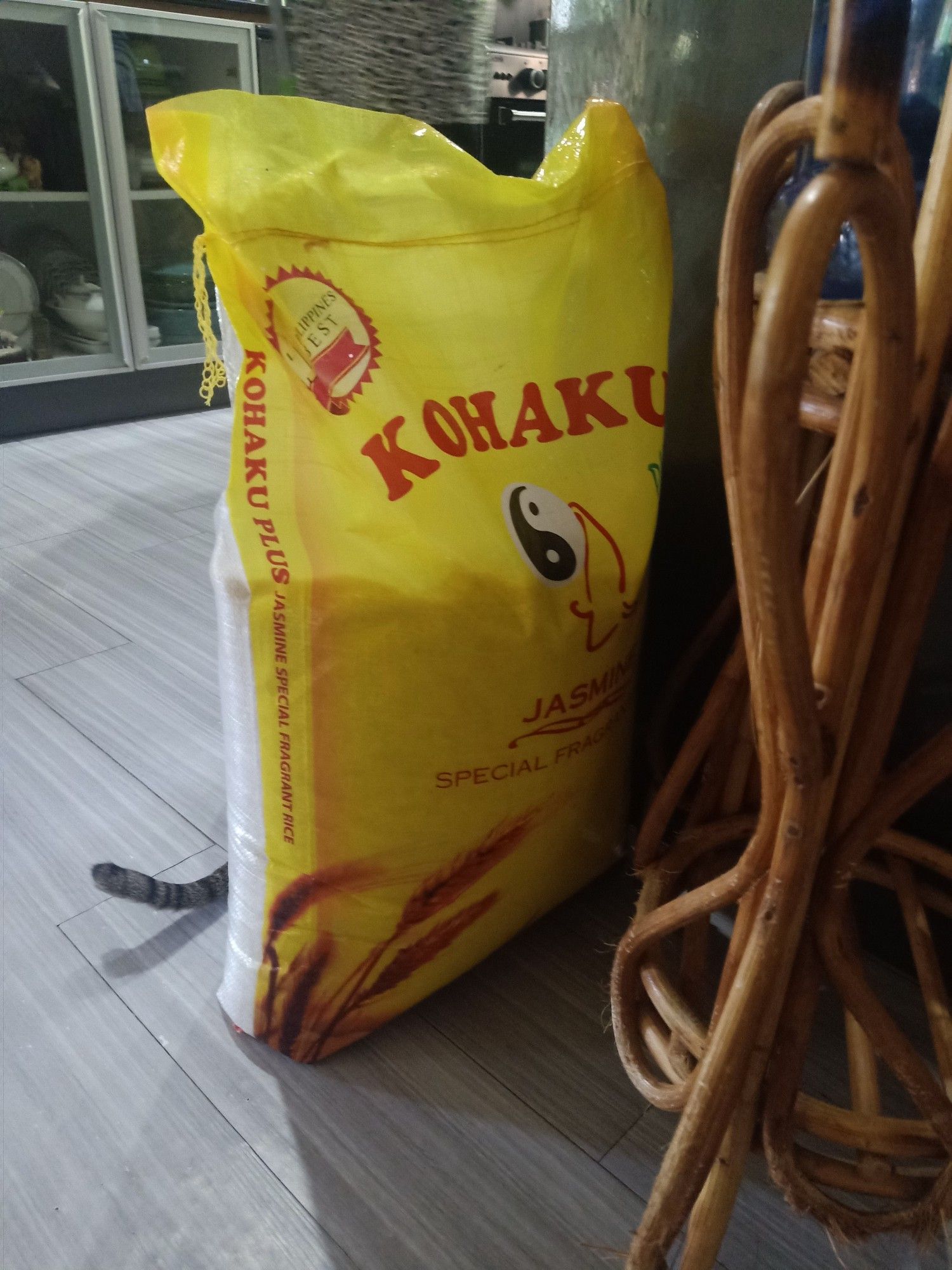 A 25kg (55 lb.) sack of yellow labeled Kohaku Jasmine Rice sits on our floor. (Huey the cat's tail sticks out from behind the bag).