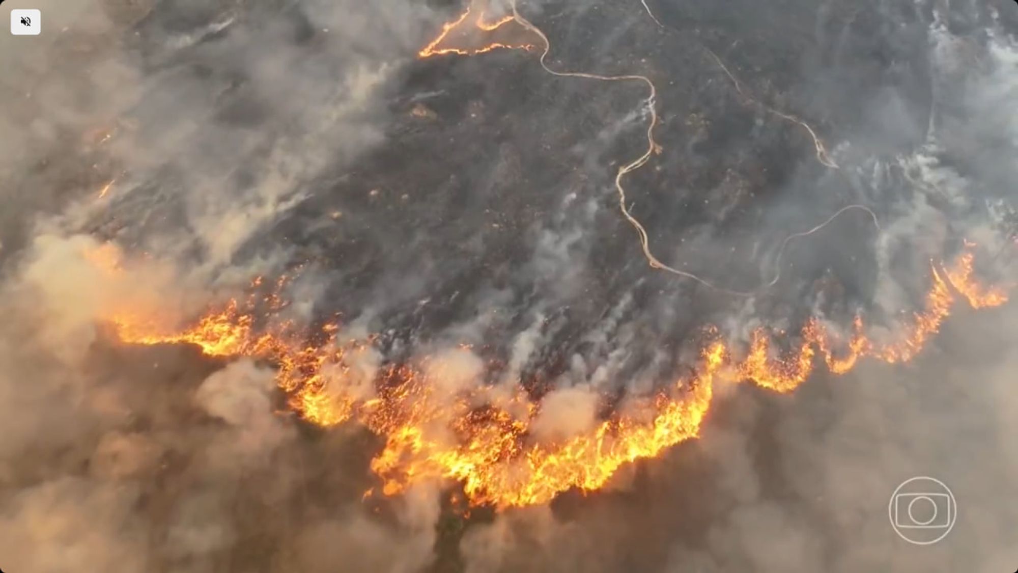 A imagem aérea mostra um incêndio de grandes proporções no Pantanal. As chamas avançam rapidamente pela vegetação, formando uma linha de fogo intensa e contínua, enquanto densas nuvens de fumaça sobem ao céu. O terreno queimado e escurecido é visível atrás do fogo, com um caminho sinuoso delineando a área afetada. A cena evidencia a destruição causada pelo fogo na região.