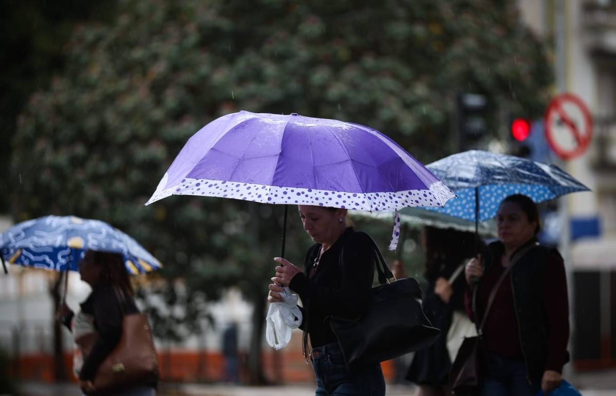 Paulistanos caminham sob guarda-chuvas coloridos durante uma chuva fina, possivelmente "chuva preta", misturada com fuligem. O guarda-chuva roxo em primeiro plano tem bordas brancas com bolinhas, e a mulher que o segura veste roupas escuras. Atrás dela, outras pessoas seguram guarda-chuvas enquanto atravessam uma rua, com um semáforo ao fundo. A fuligem no ar é notada pela escuridão das gotas e a presença de poluição.