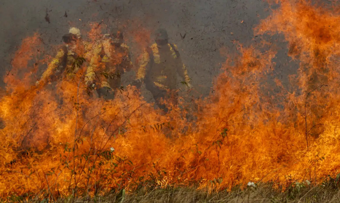 A imagem mostra três brigadistas combatendo um incêndio no Pantanal. Eles vestem uniformes de proteção amarelados e capacetes enquanto se movem em meio à fumaça densa e às chamas intensas, que ocupam grande parte da cena. O fogo avança rapidamente pela vegetação seca, com labaredas altas e alaranjadas. A situação parece perigosa, com o ambiente tomado pelo calor e pela fumaça. A fotografia captura a gravidade do incêndio florestal e a difícil tarefa de conter o avanço do fogo em uma área de vegetação aberta. © Joédson Alves/Agência Brasil.