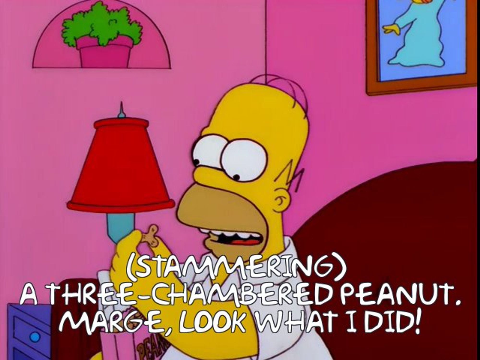 Subtitled screenshot from The Simpsons. Homer is holding a three-chambered peanut, looking very pleased with himself. Subtitle reads '(stammering) A THREE-CHAMBERED PEANUT. MARGE, LOOK WHAT I DID!'