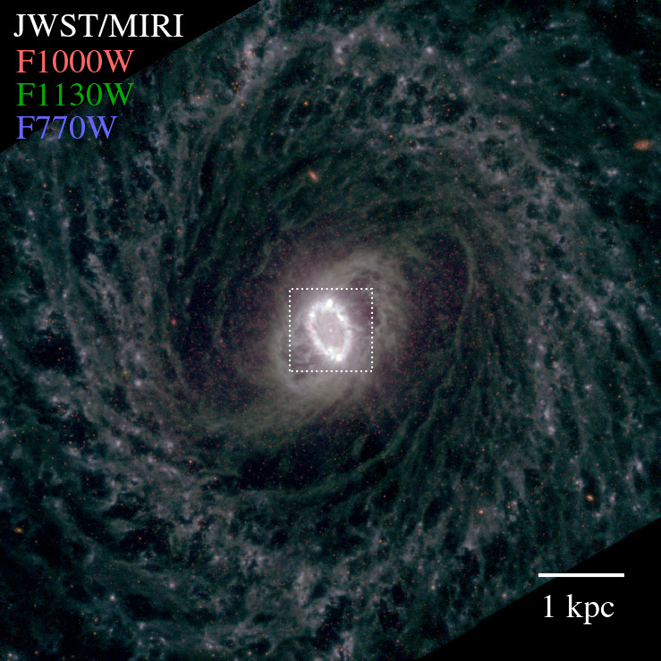 JWST/MIRI colored image of the nearby galaxy M95 (a.k.a. NGC3351)