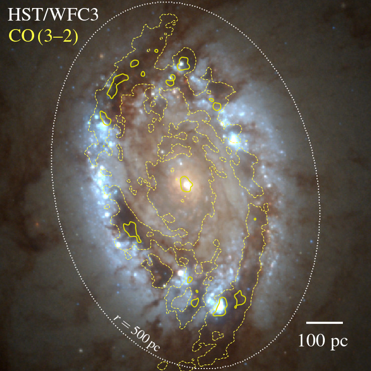 HST colored image the M95 galaxy's central starburst ring, with ALMA CO 3-2 map overplotted as contours