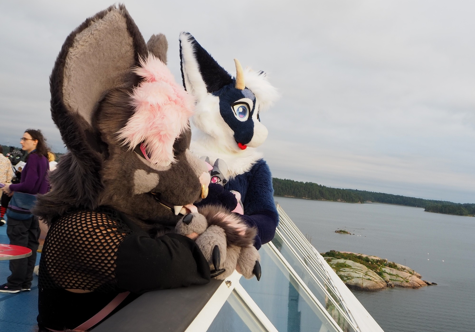 a catbat and blue dragon fursuit viewed from the side looking out from the ferry seeing the baltic sea