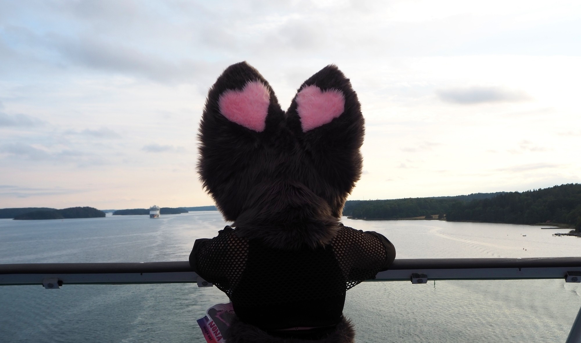 a catbat fursuit viewed from the back looking out over the baltic sea