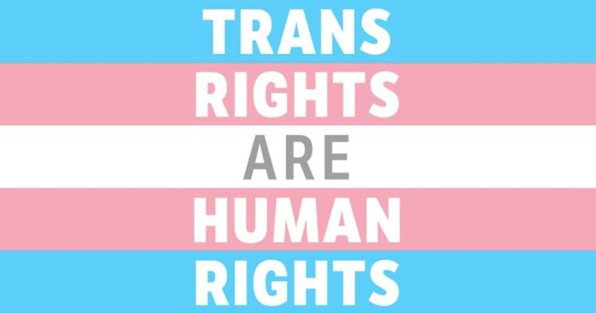 Uma imagem da bandeira trans, ela consiste em cinco linhas horizontais, de cima para baixo azul, rosa, branco, rosa e azul, no meio da imagem está escrito "Trans rights are human rights". Tradução: direitos trans São direitos humanos. 