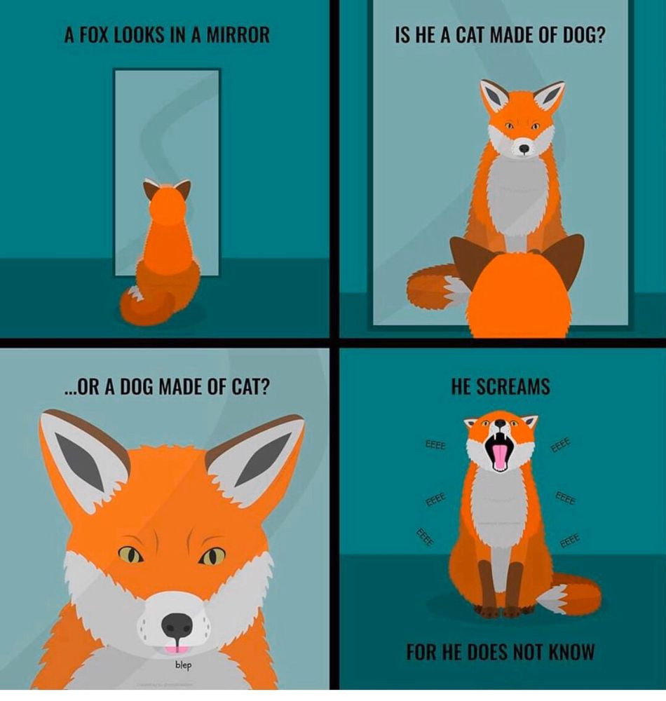 Four panels involving a cartoon fox:

A FOX LOOKS IN A MIRROR
IS HE A CAT MADE OF DOG
... OR A DOG MADE OF CAT?
HE SCREAMS 
FOR HE DOES NOT KNOW