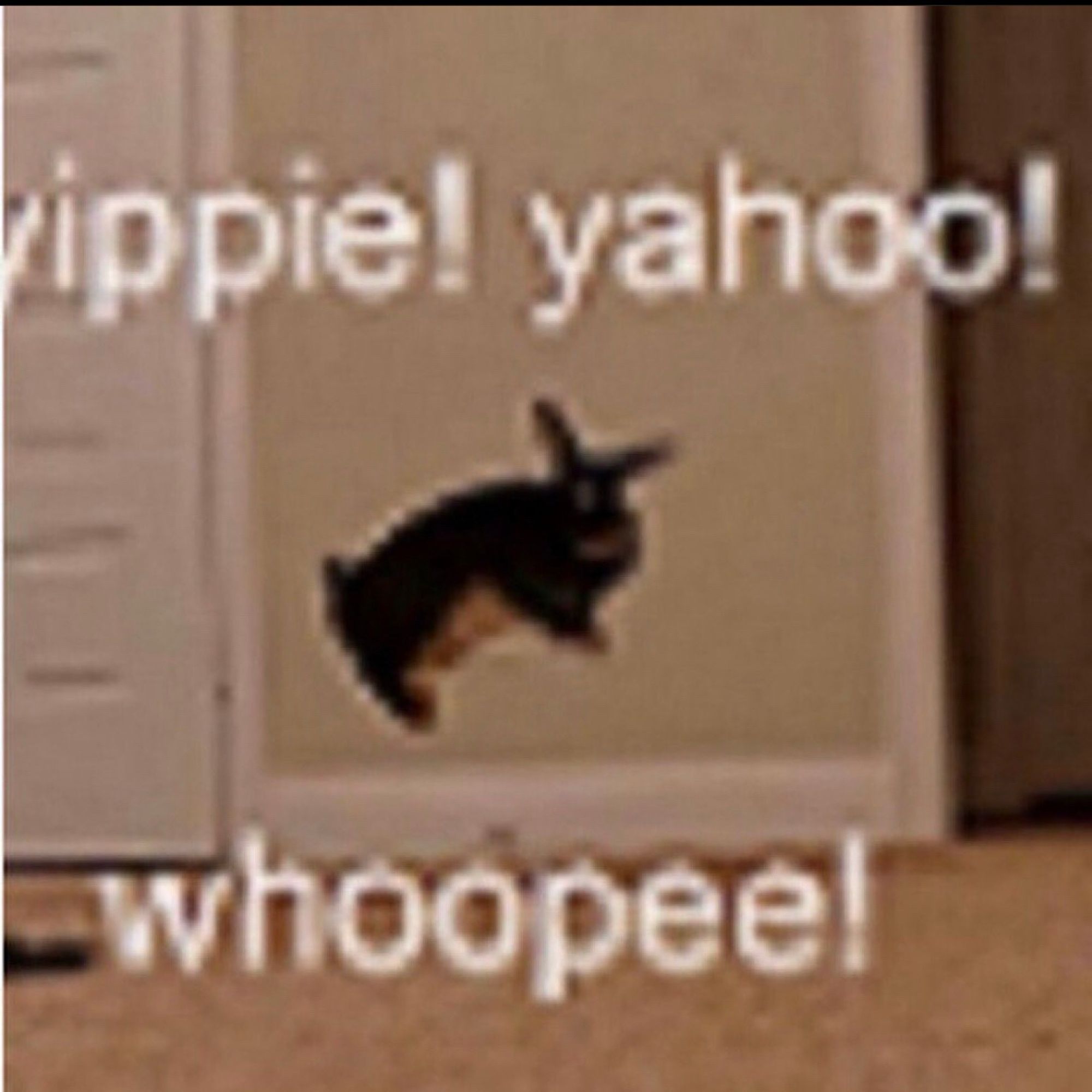 low res pic of a rabbit jumping surrounded by the text yippie yahoo whoopee