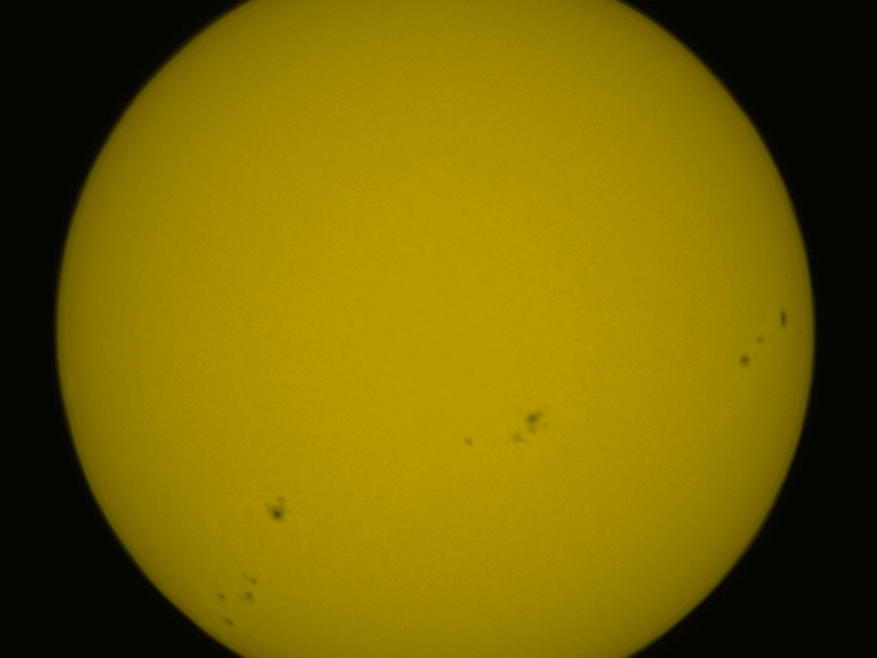 At least 5 distinct clusters of sunspots moving across from right to left