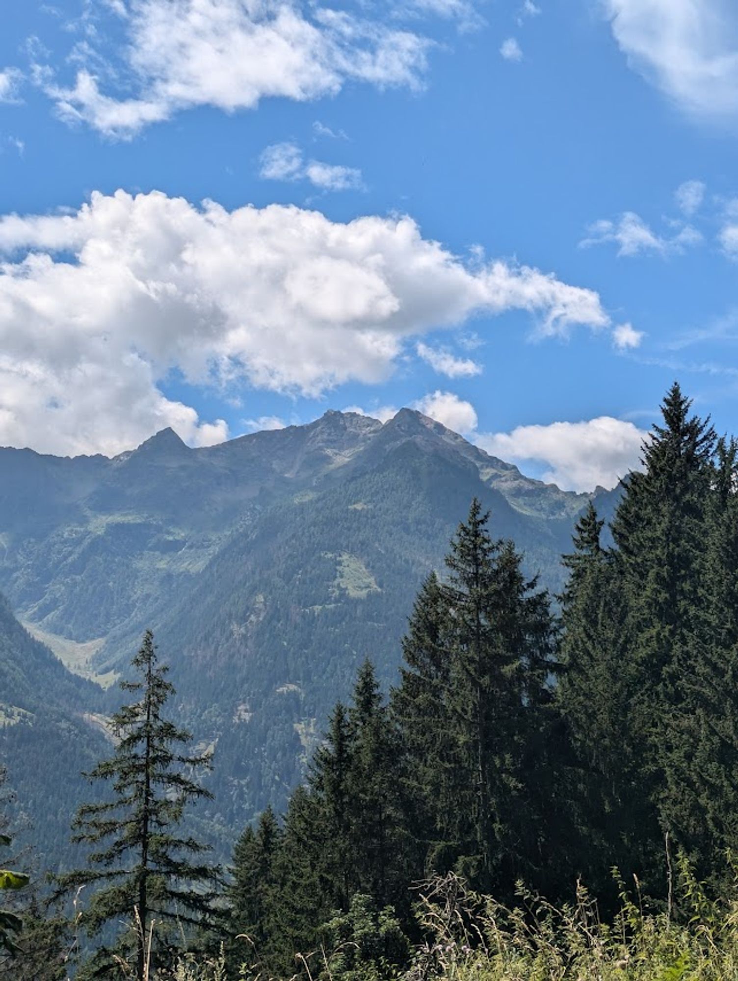 Blauer Himmel mit Wolken. Bergblick. 
Von links nach Rechts vorne Nadelbäume.