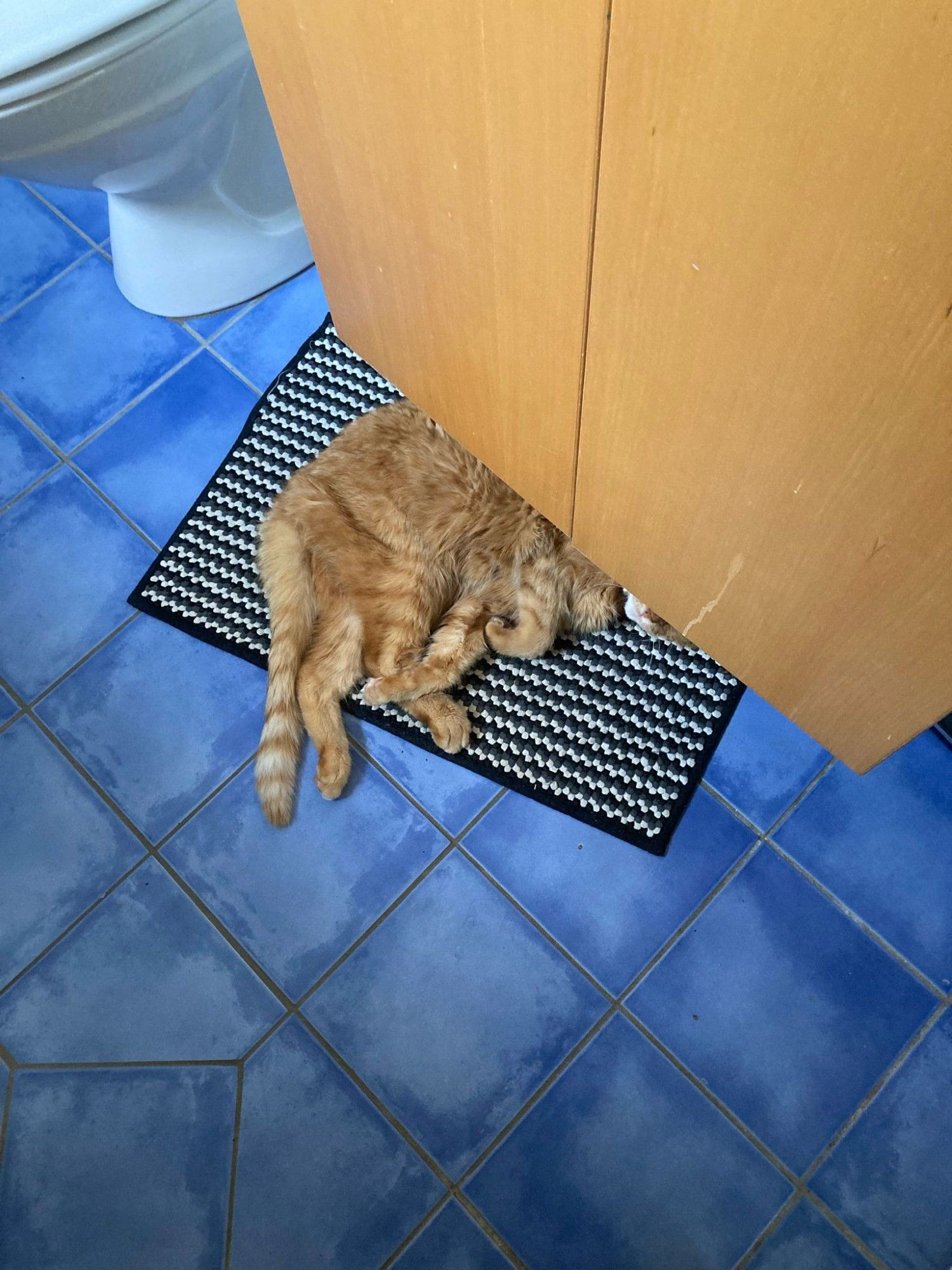 A ginger tabbycat is chilling, or fast asleep, on a bathroom floor. he's curled up almost into a ball on a carpet, squeezed in underneath the cupboard beneath a sink. Most of his body is visible, but except for the tip of his snout, his head is out of sight, shielded from view by the cupboard.