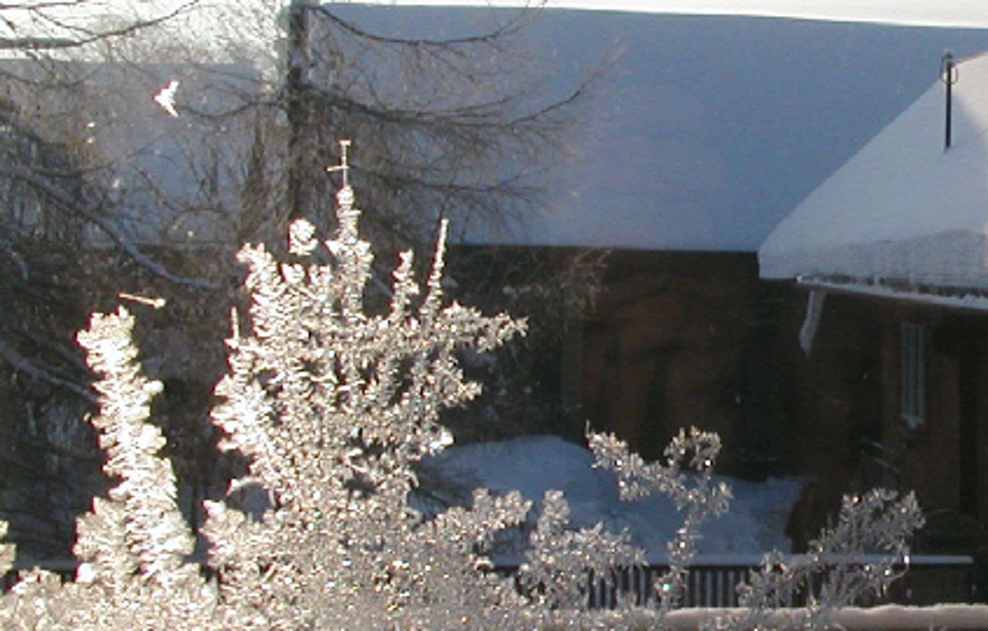 Achtung das ist keine Blume im Sinne einer Pflanze
Eisblumen an Fenster

Bildausschnitt
academic. com

Häufig mit Schnee früher zusammen