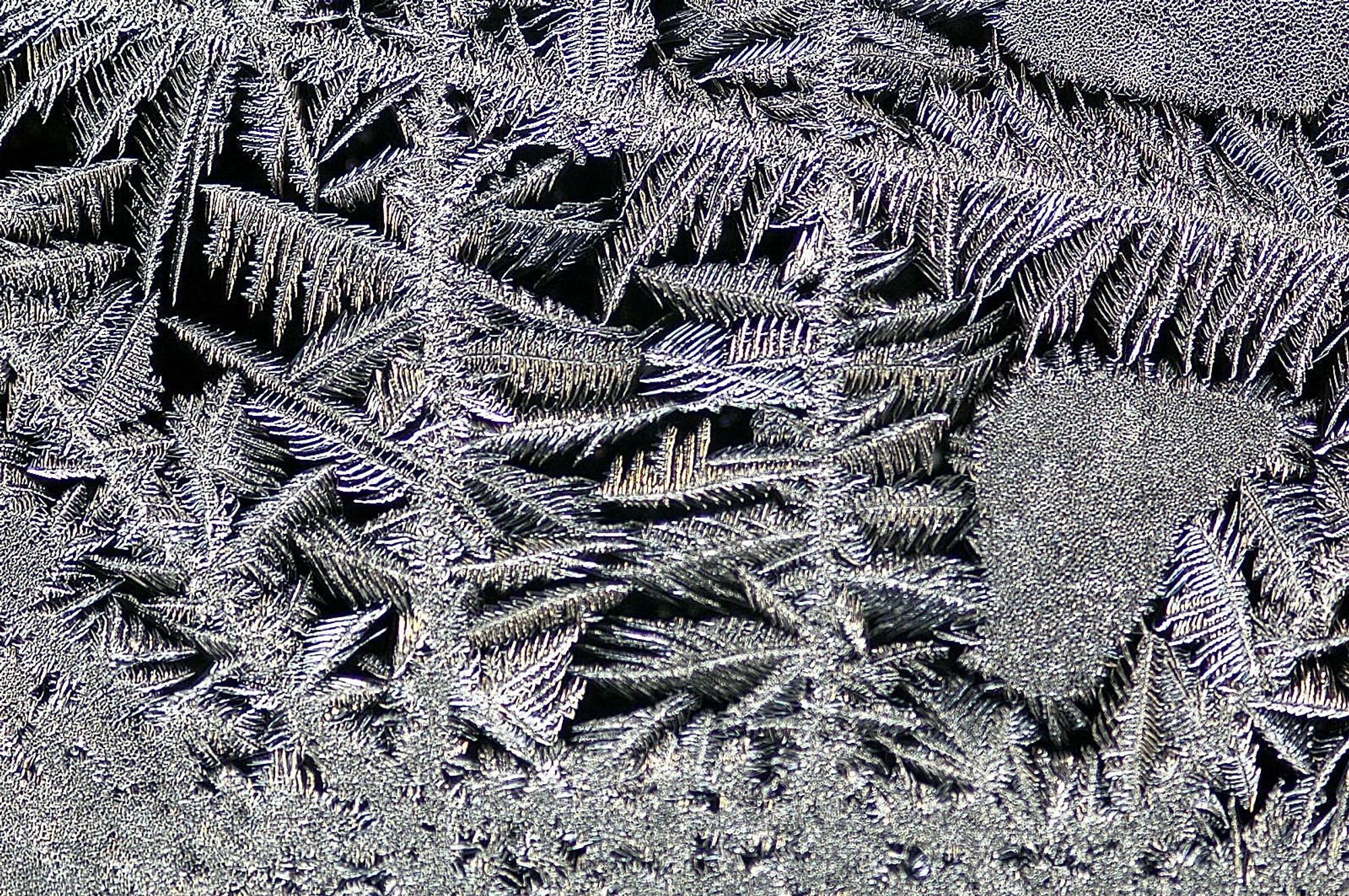 GEIL
Besser COOL
Eisblume

Früher Standard und "ANALOG APP" für richtige Schuhe, Handschuhe, Bauchfrei Pullover weglassen und so weiter


Achtung das ist keine Pflanze
Bild Archiv academic. com
Eisblume