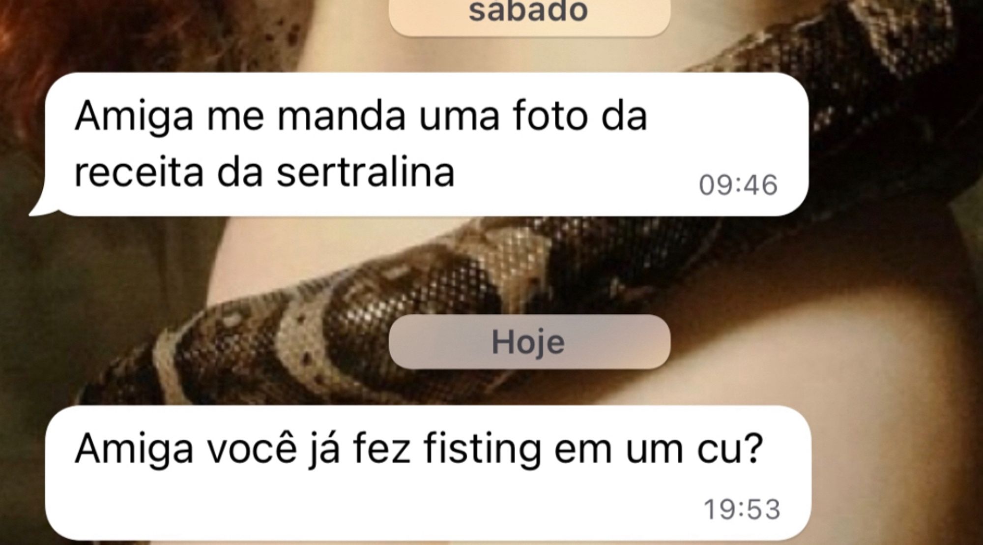 print do whatsapp. sabado: amiga me manda uma foto da receita da sertralina. hoje: amiga você ja fez fisting em um cu?