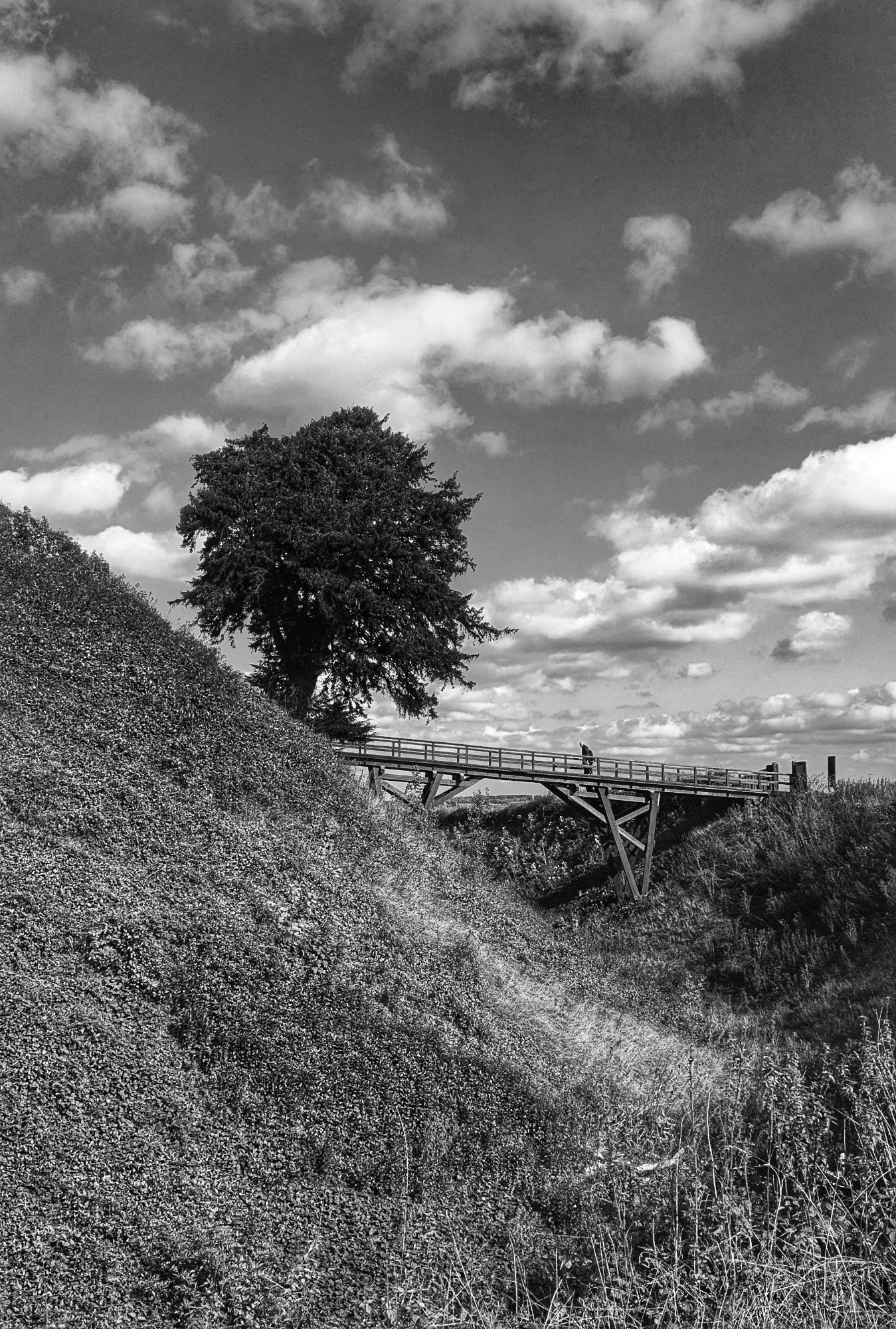 Bridge crossing the ramparts of Old Sar