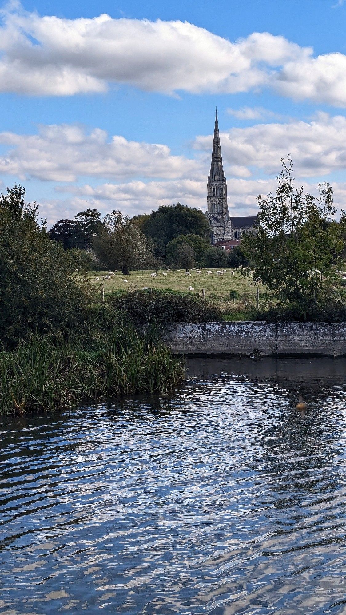 Salisbury cathedral spire from across the watermeadows