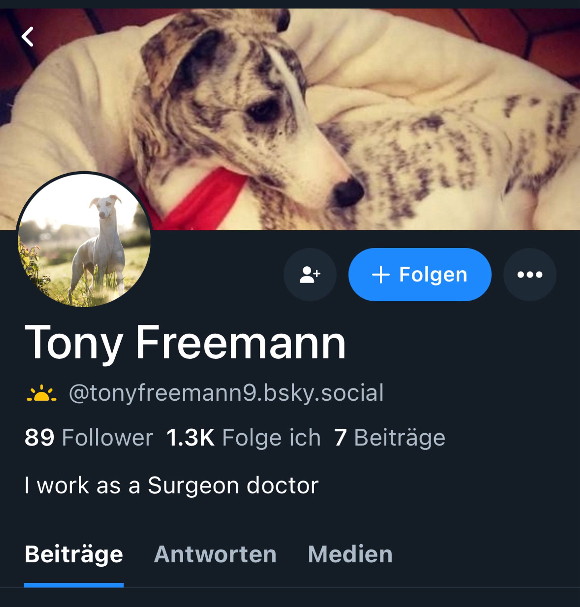 Screenshot Account Tony Freeman mit hundefotos und der Bio „I work as a Surgeon doctor“