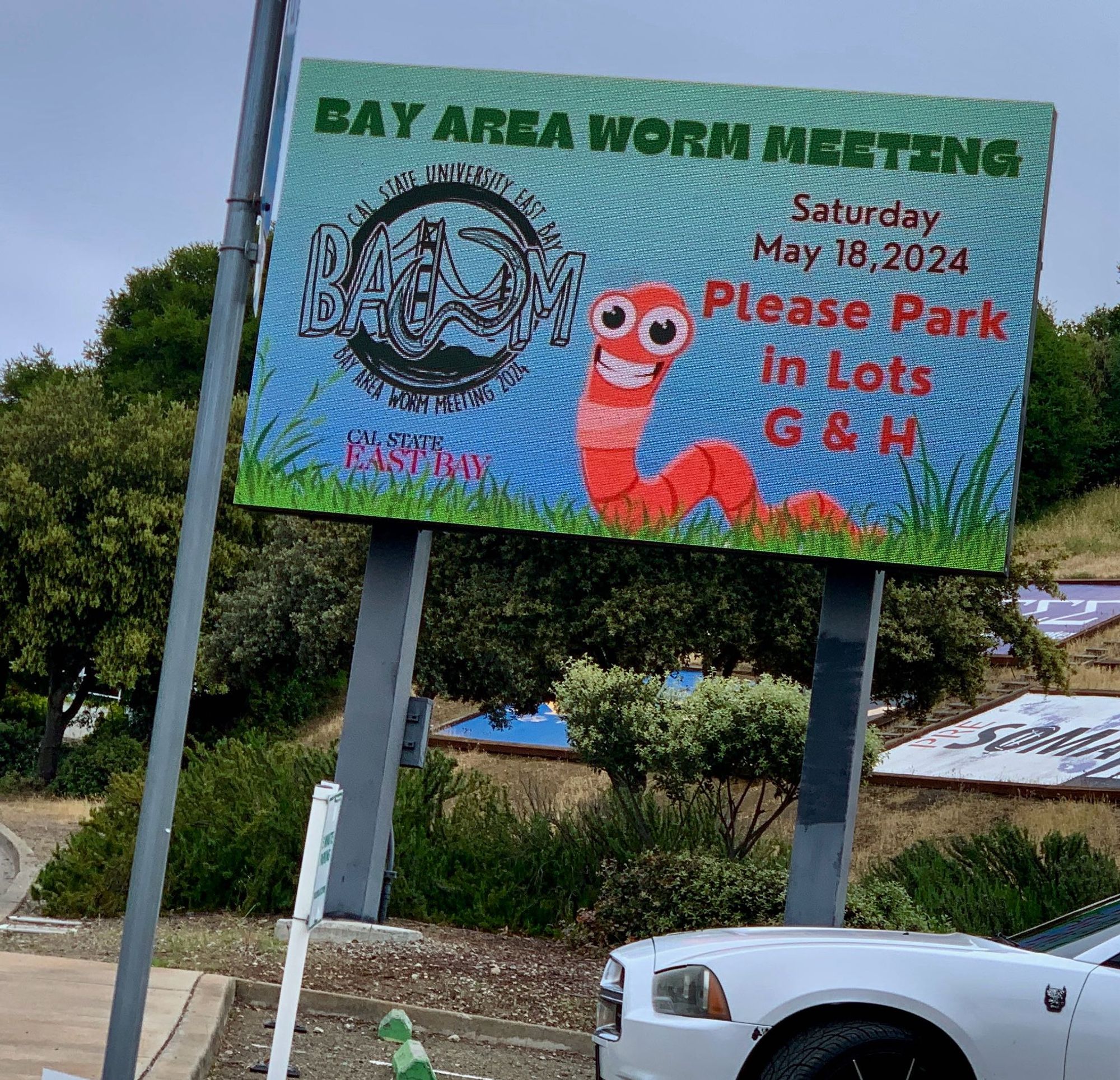 Here we go! BAWM signage huge welcoming orange worm with unrealistic but charming eyes and toothy grin on a freeway billboard size sign, directing to the over one hundred worm scientists to the event parking lots.